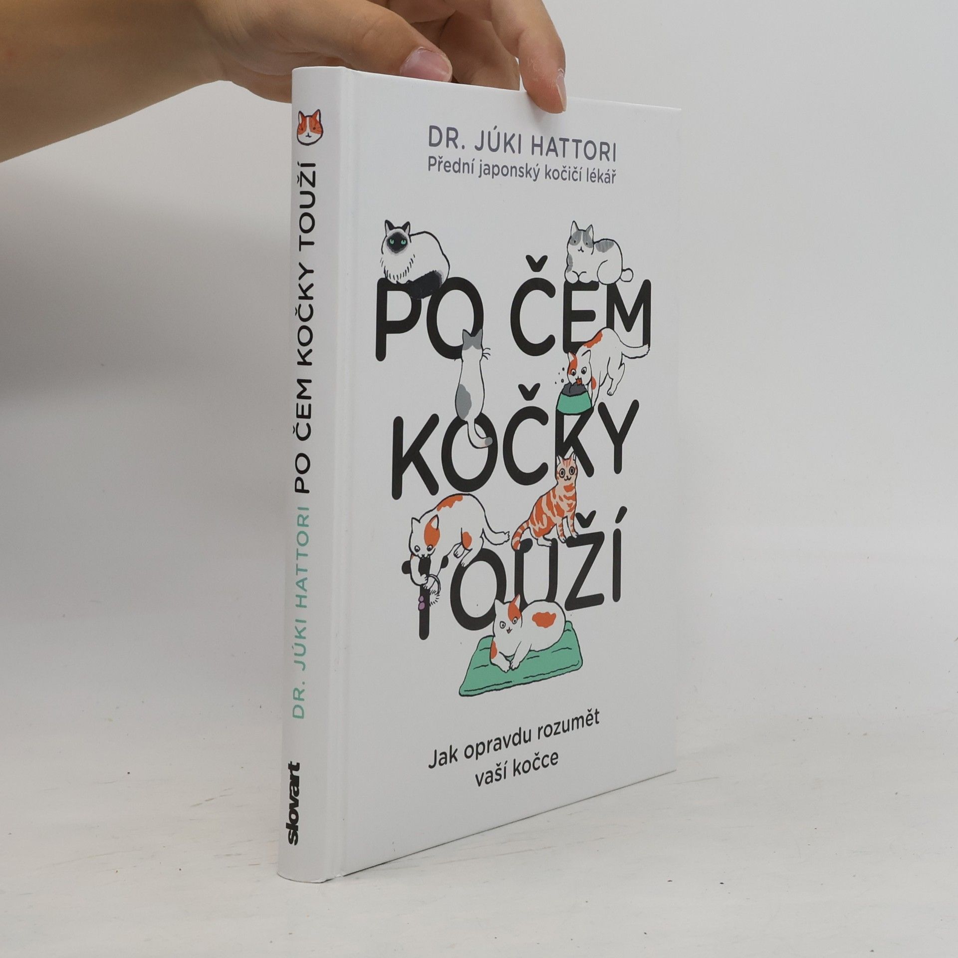 Júki Hattori Po čem kočky touží : jak opravdu rozumět vaší kočce