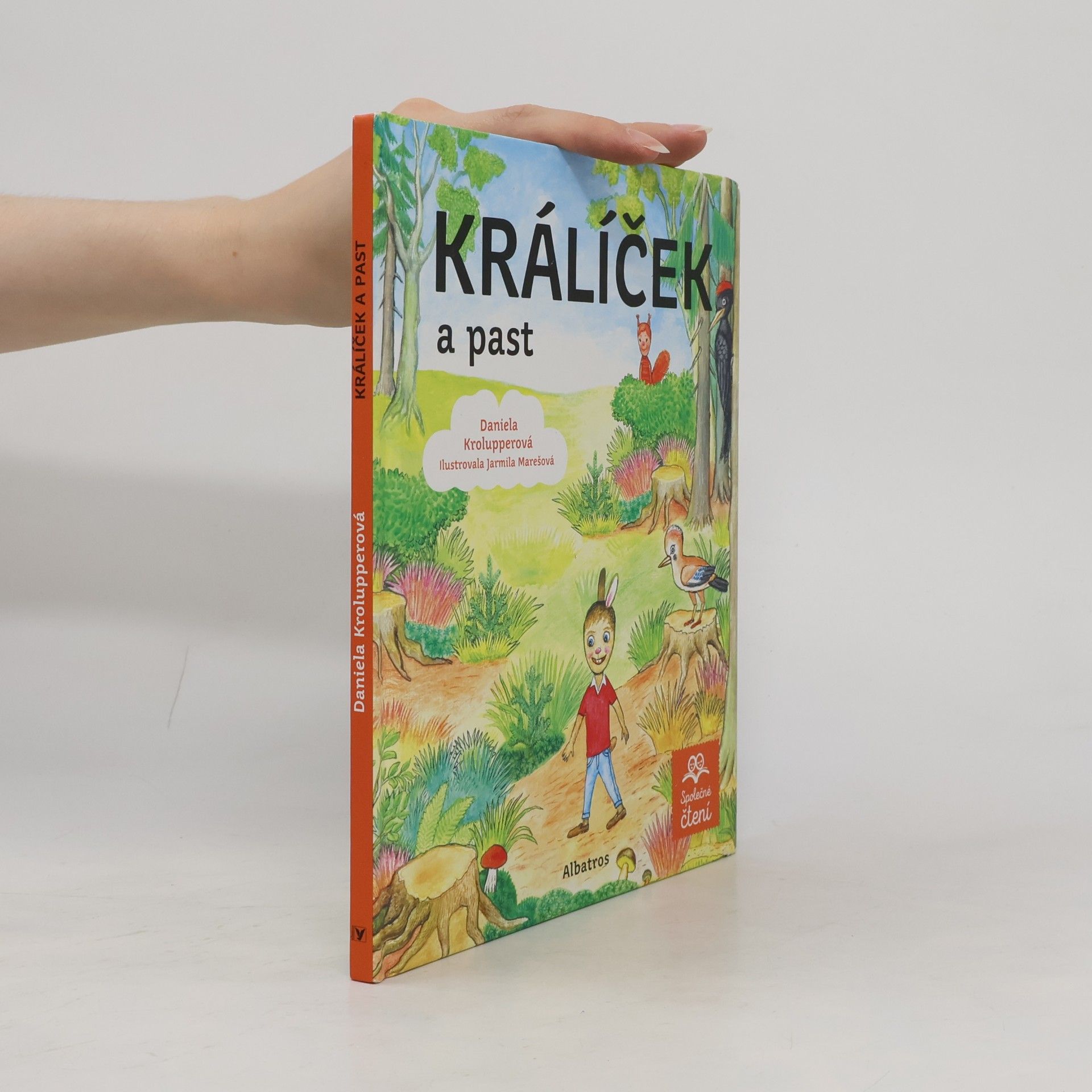 Daniela Krolupperová Králíček a past