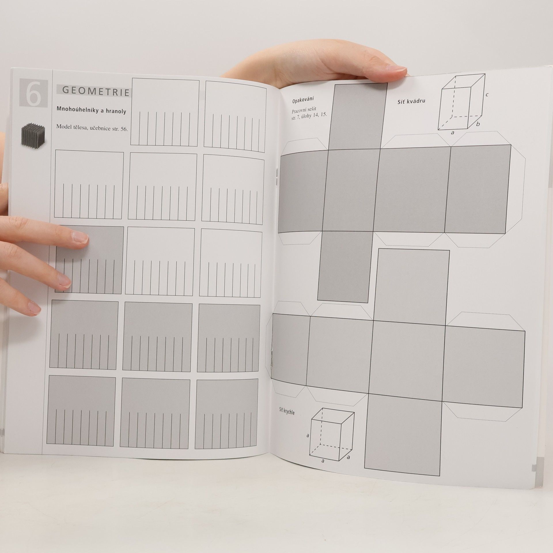 Kolektiv autorů Matematika 6 Geometrie - Pracovní sešit