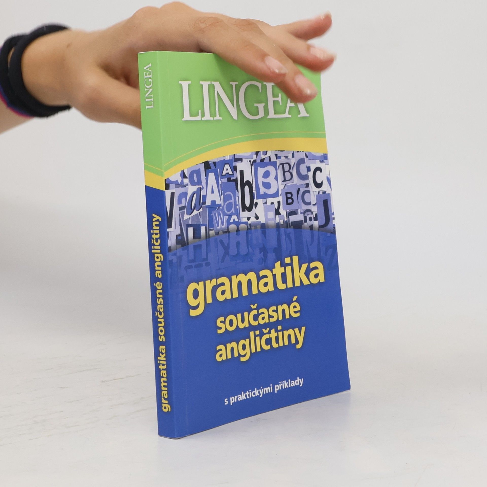 Kolektív autorov Gramatika současné angličtiny