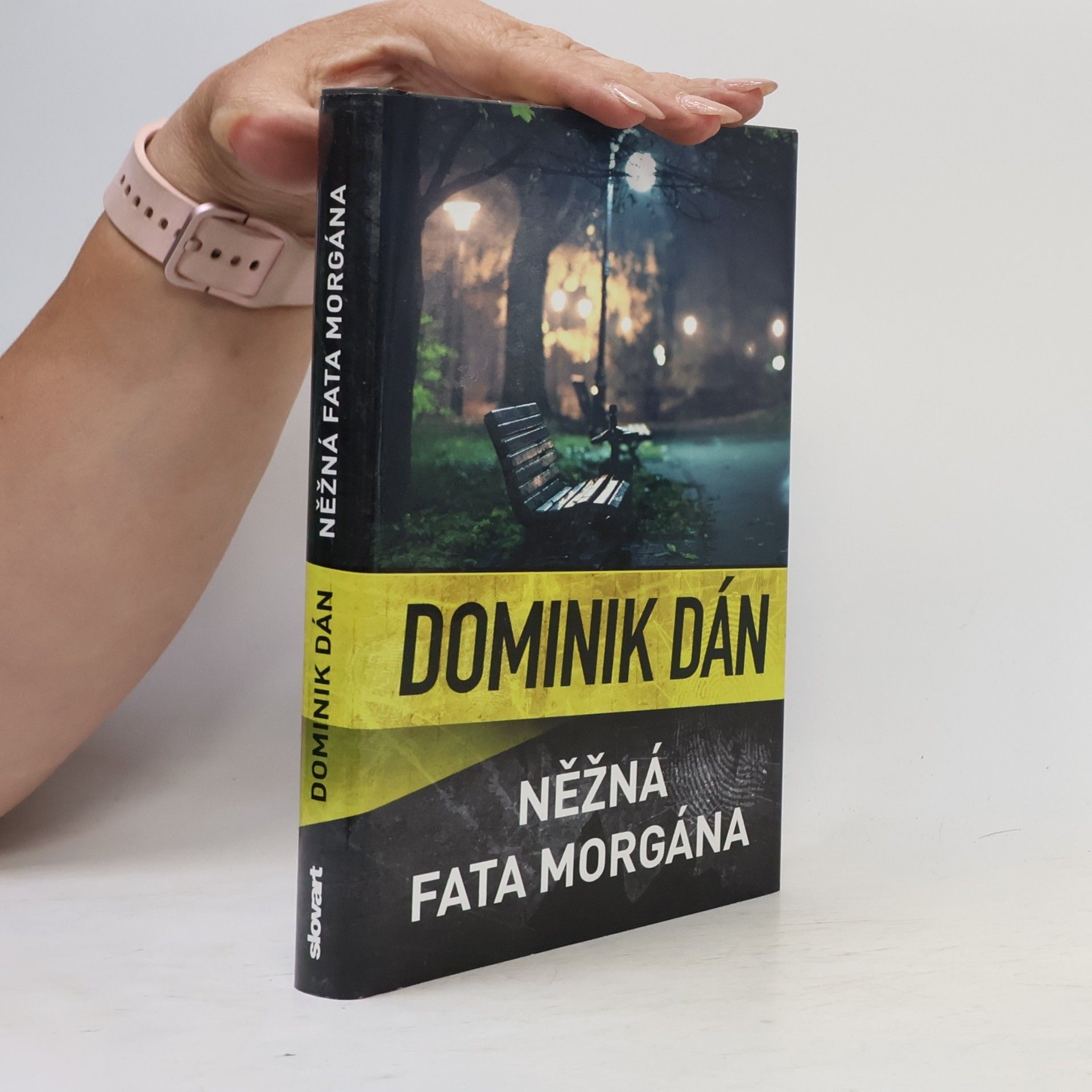Dominik Dán Něžná fata morgána