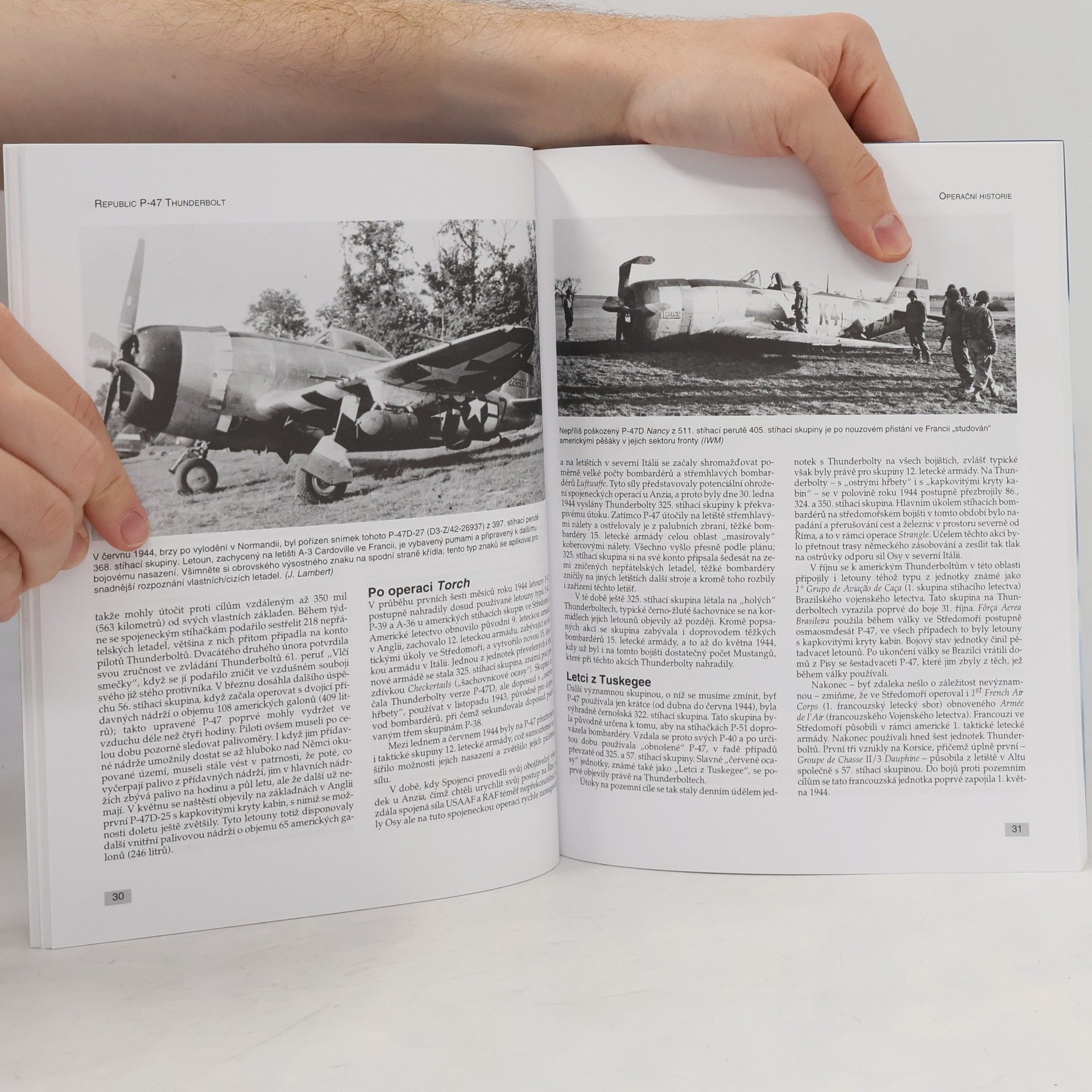 Jerry Scutts Bojové legendy P-47 Thunderbolt
