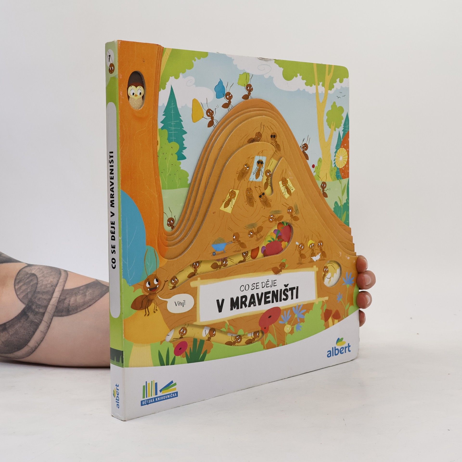 Kolektiv autorů Co se děje v mraveništi