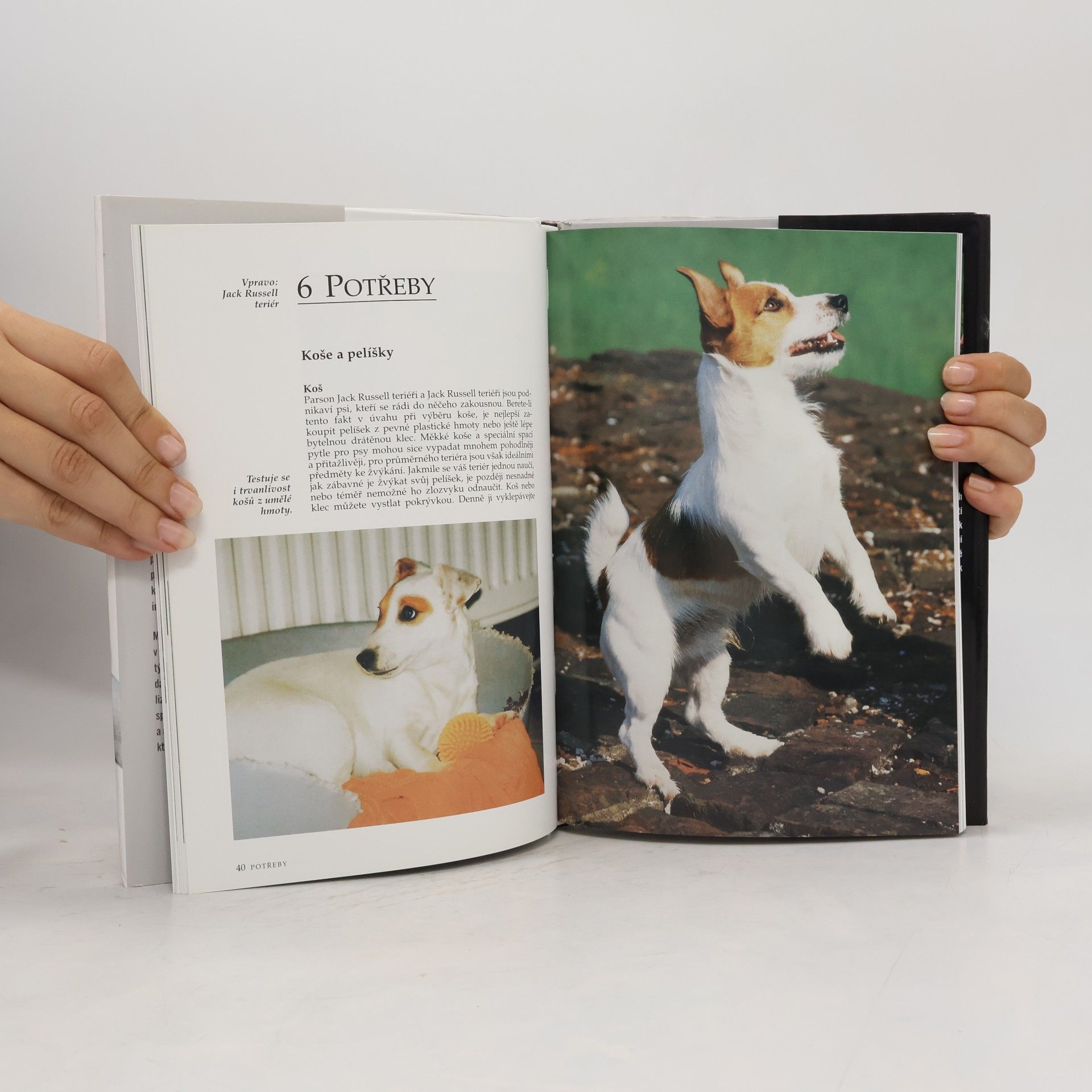 Esther Verhoef Jack Russell teriér