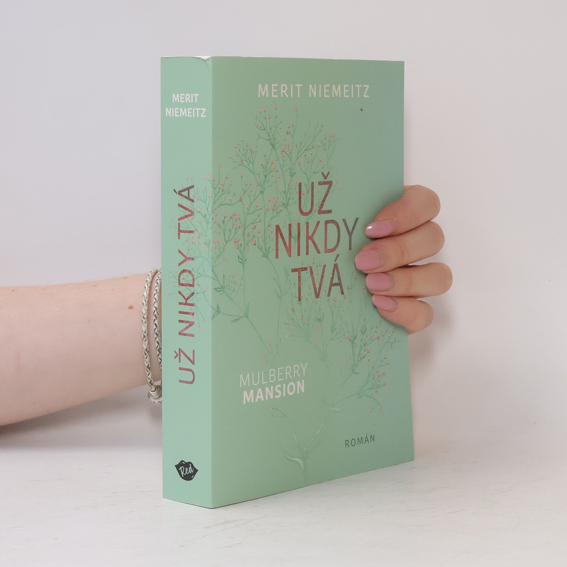 Merit Niemeitz Už nikdy tvá
