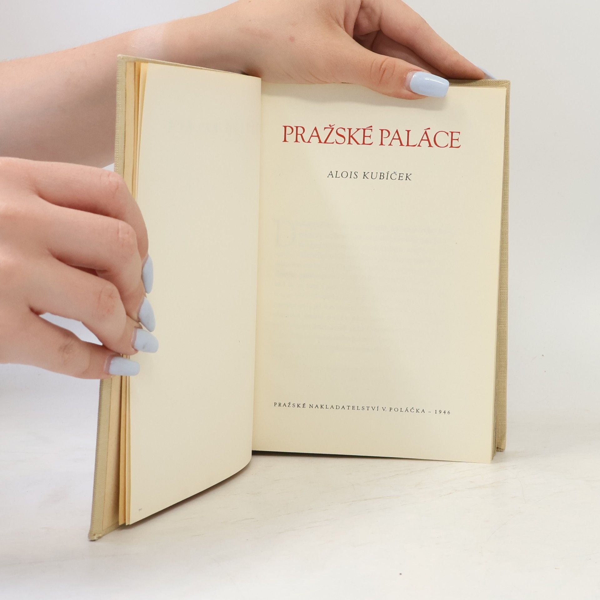 Alois Kubiček Pražské paláce