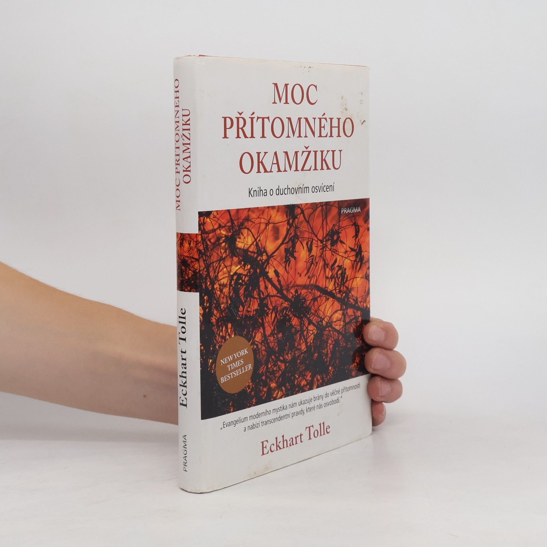 Eckhart Tolle Moc přítomného okamžiku