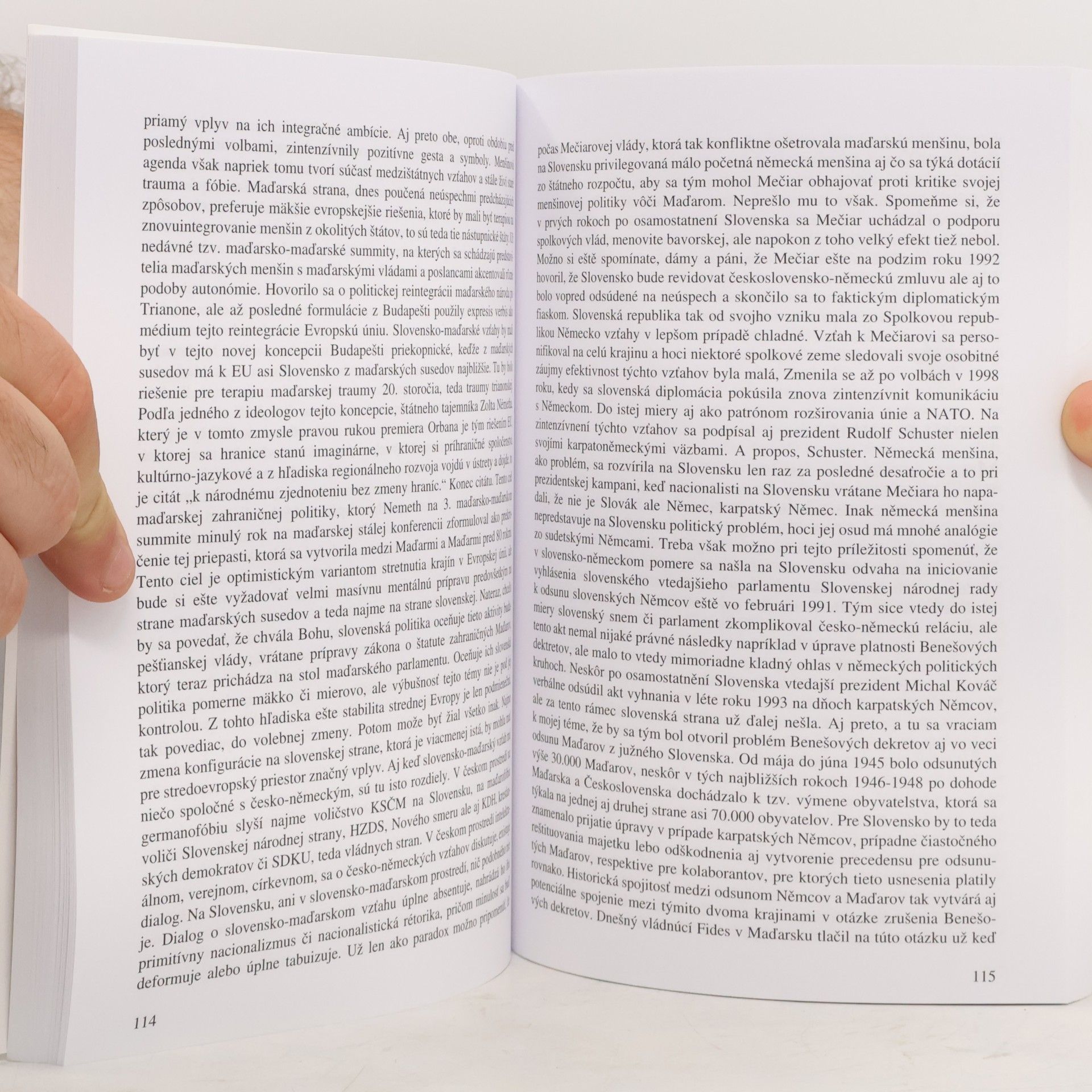 Autorenkollektiv Češi a Němci : národní identity a sjednocující se Evropa = Deutsche und Tschechen : nationale Identität und europäische Einigung