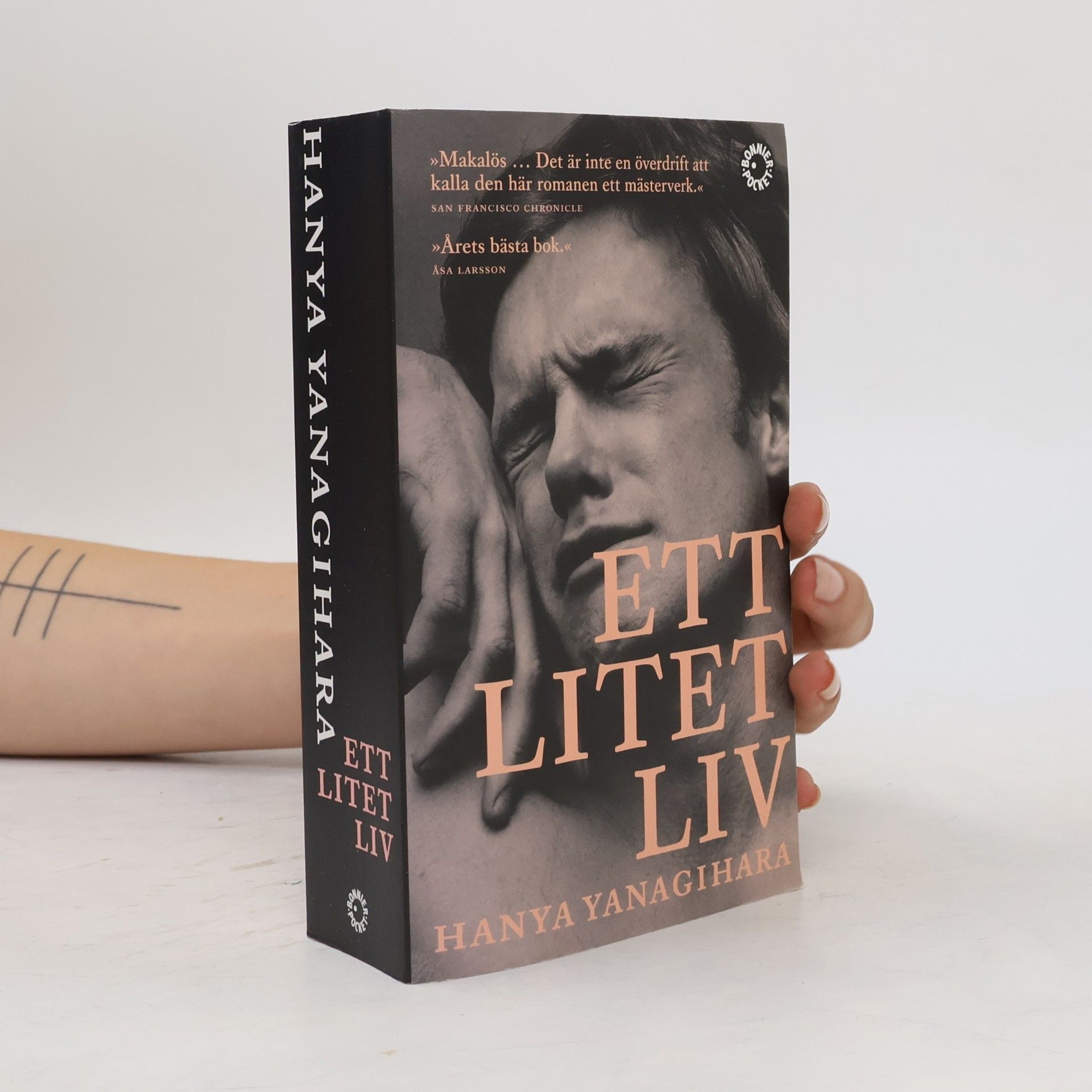 Niclas Nilsson Ett litet liv