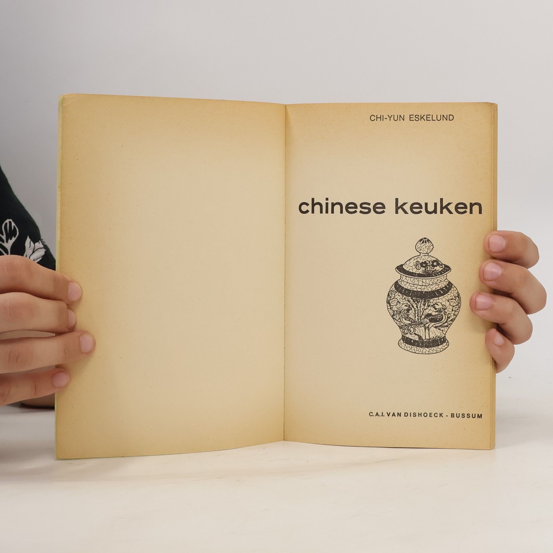 Chi-Yun Eskelund Chinese Keuken