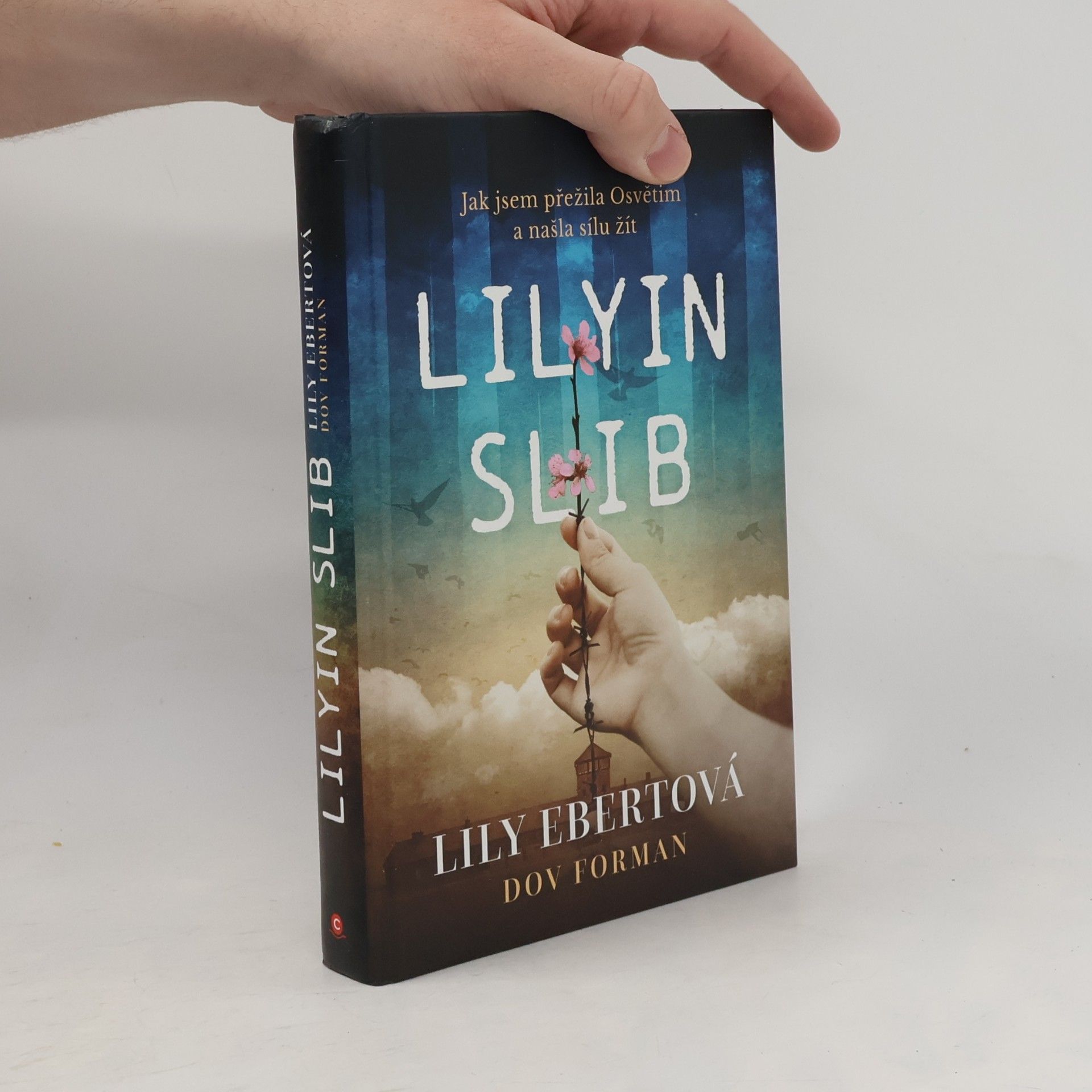 Lily Ebert Lilyin slib