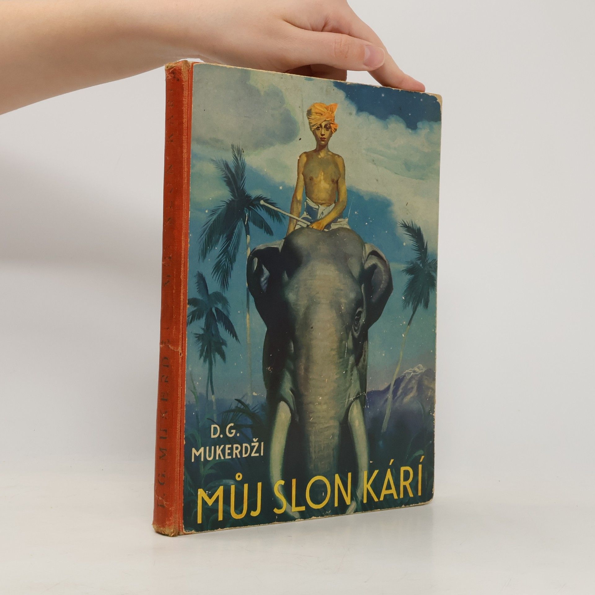 Můj slon Kárí