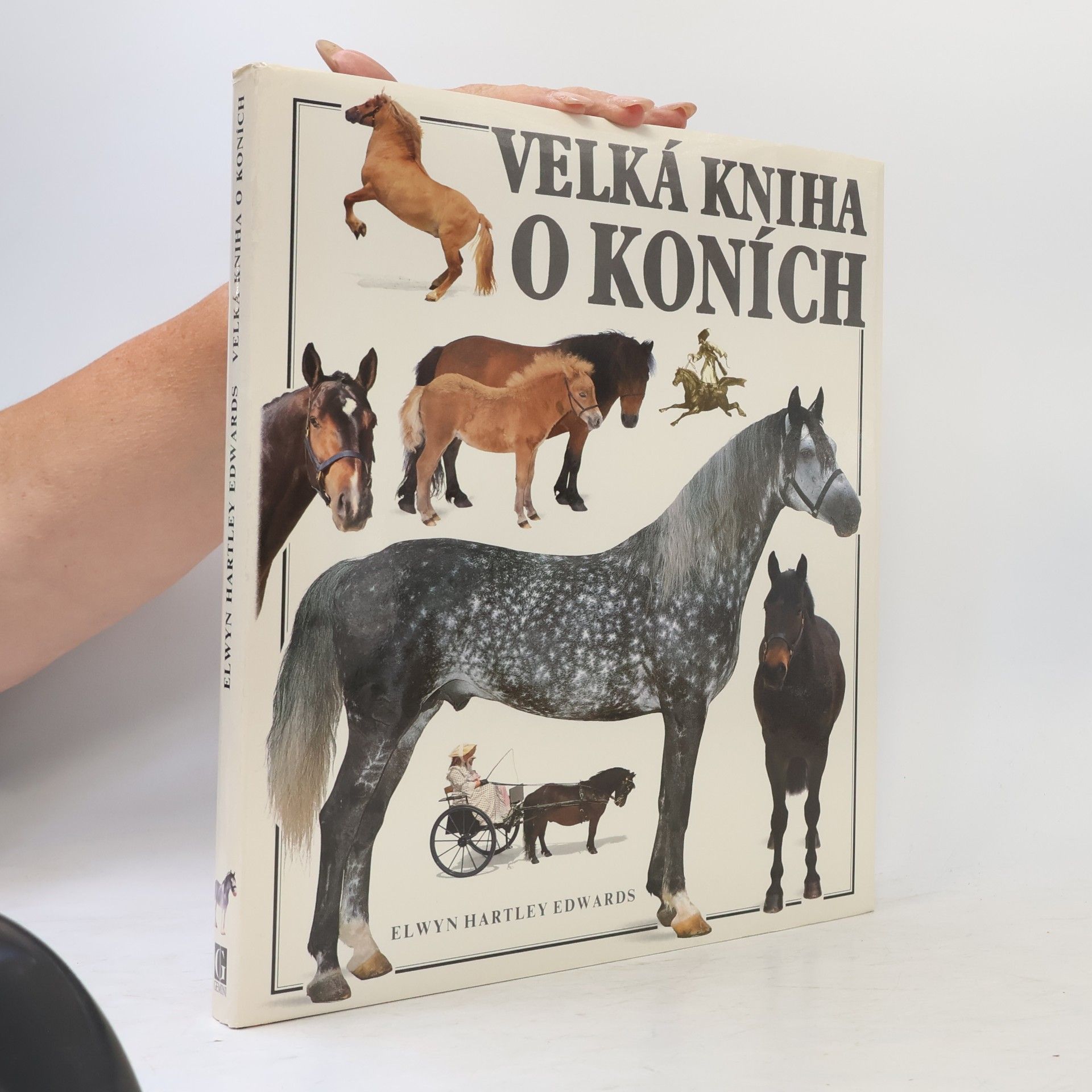 Elwyn Hartley Edwards Veľká kniha o koňoch