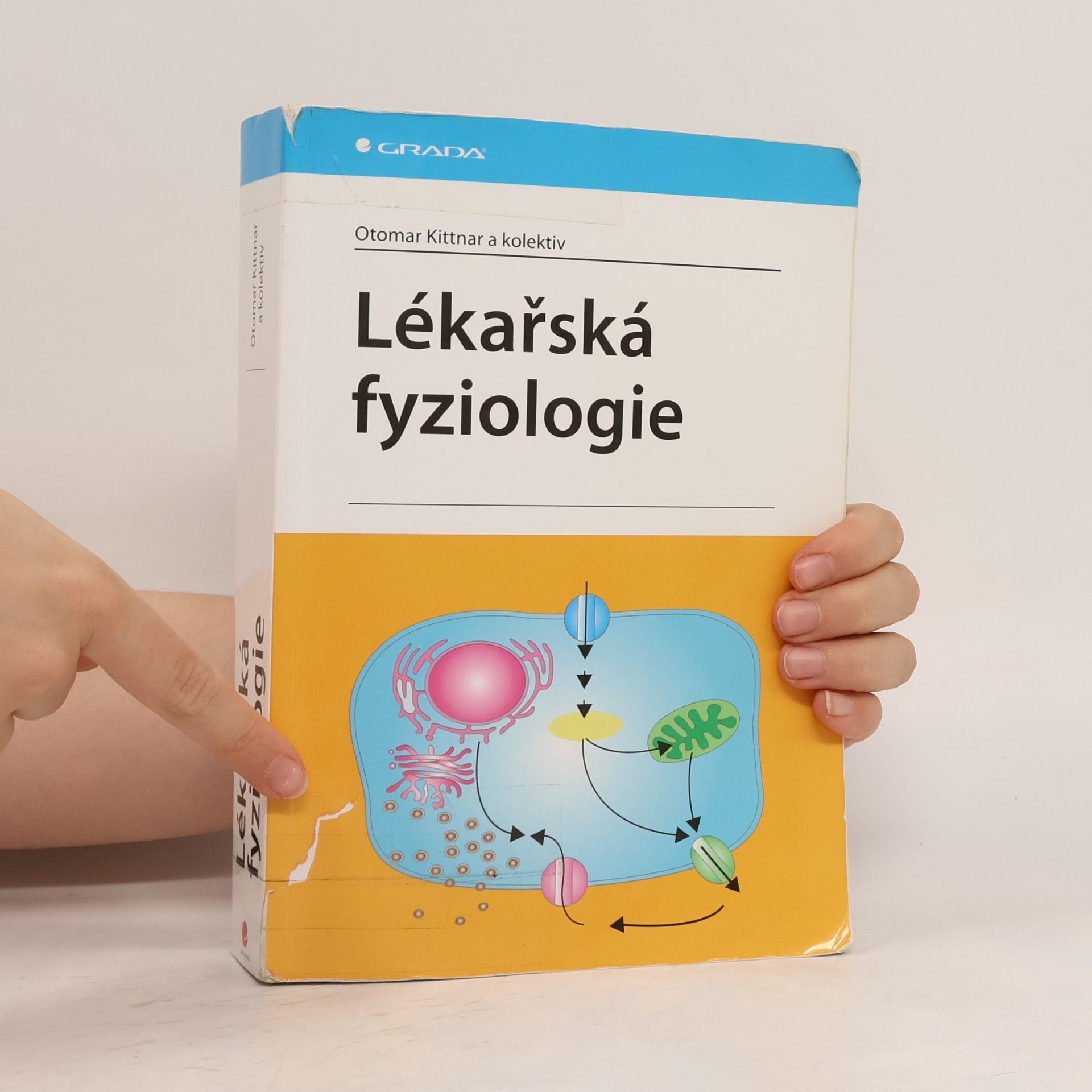 Otomar Kittnar Lékařská fyziologie