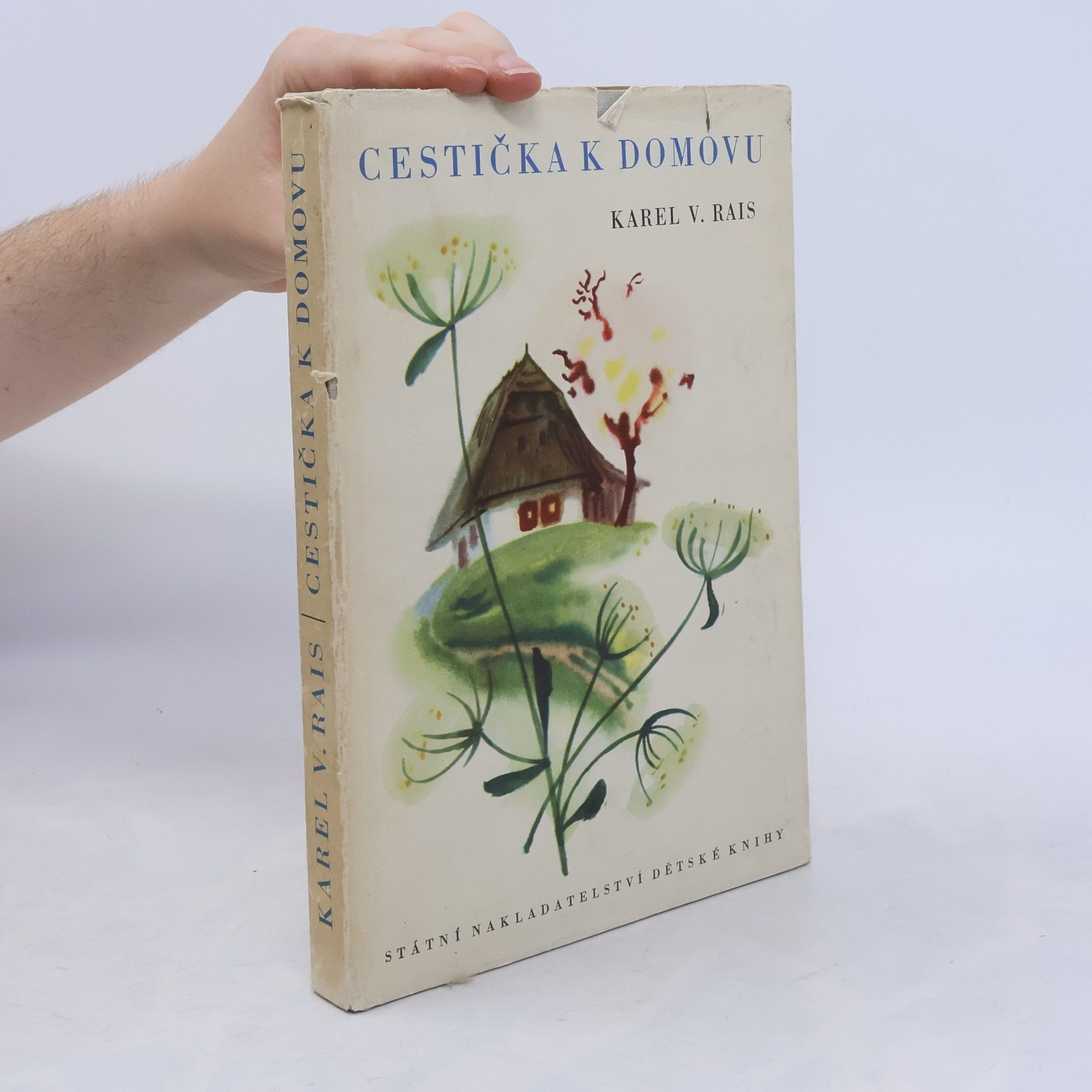 Karel Václav Rais Cestička k domovu