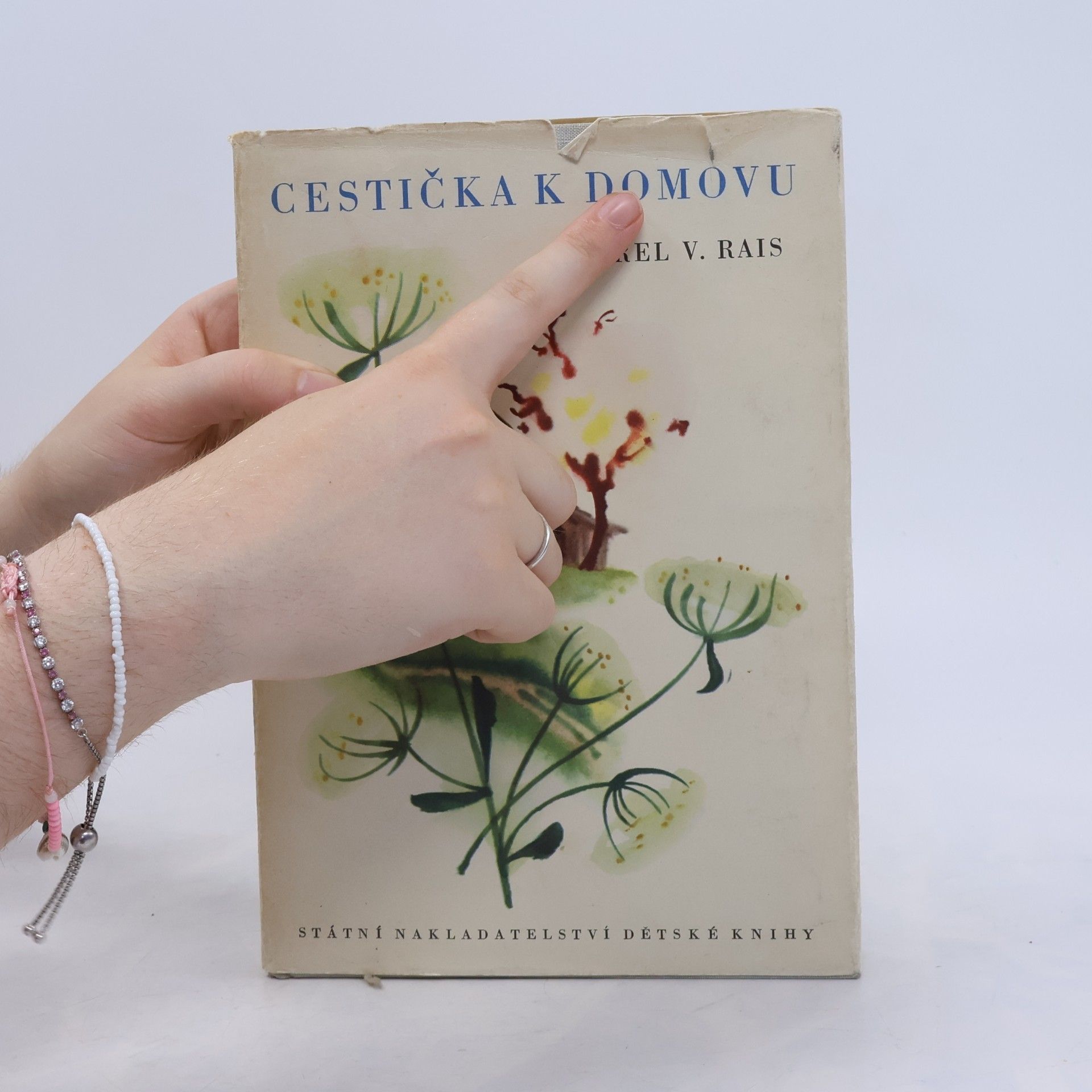 Karel Václav Rais Cestička k domovu