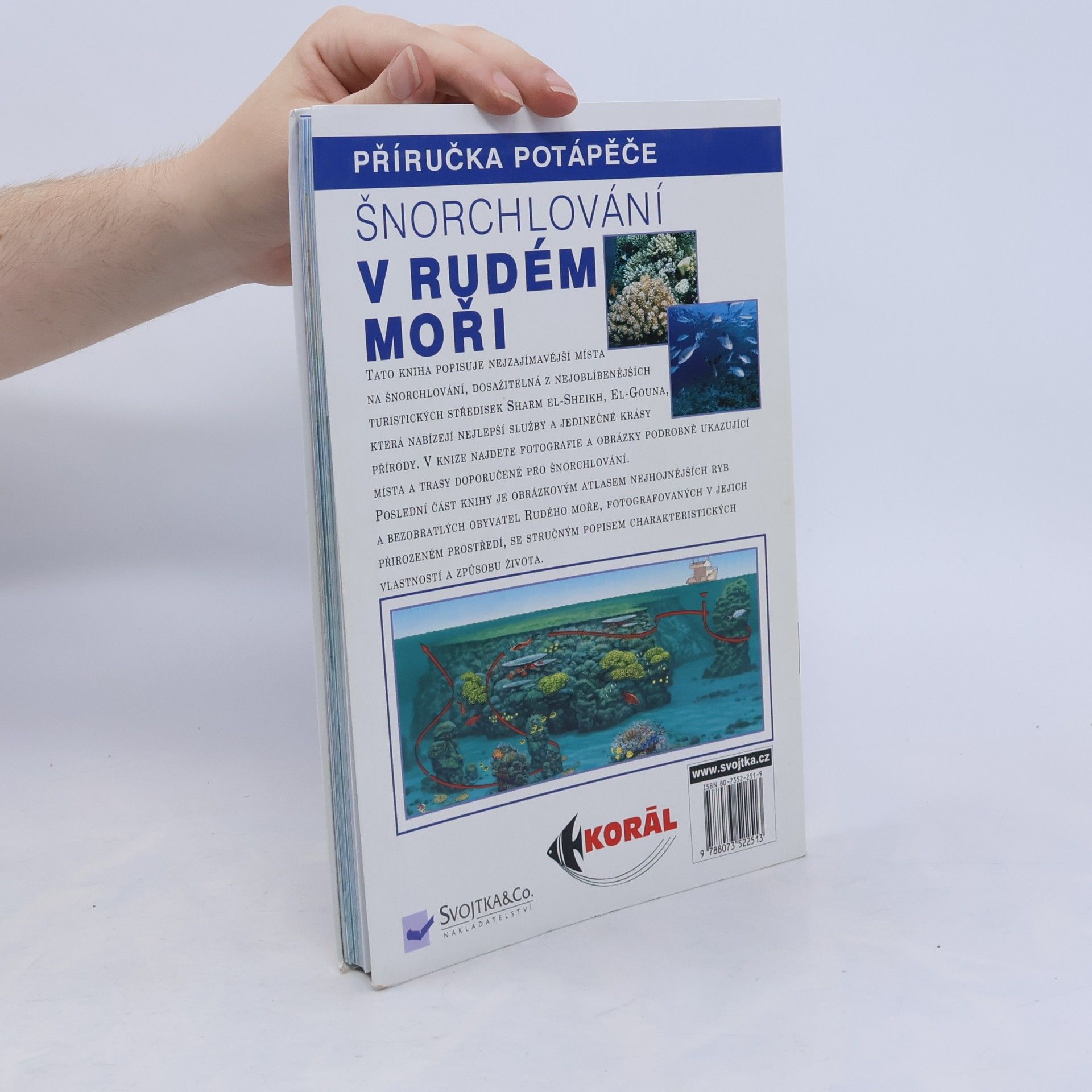 Claudio Cangini Šnorchlování v Rudém moři