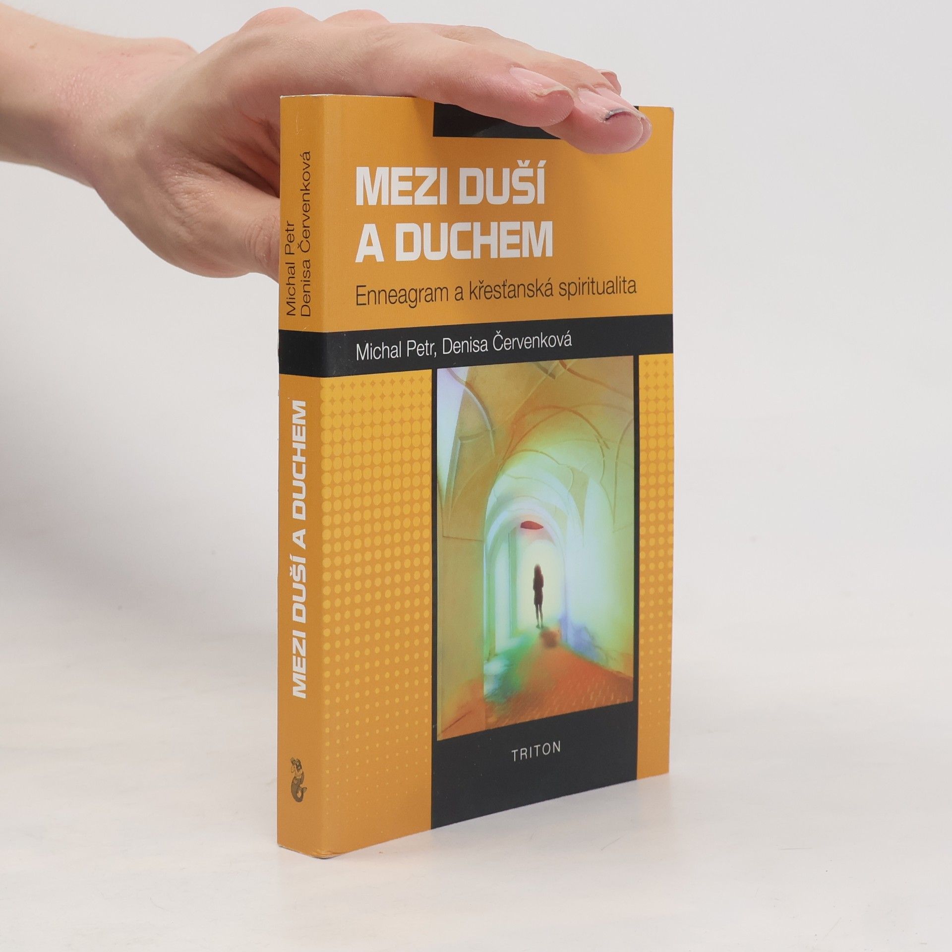 Michal Petr Mezi duší a duchem. Enneagram a křesťanská spiritualita.