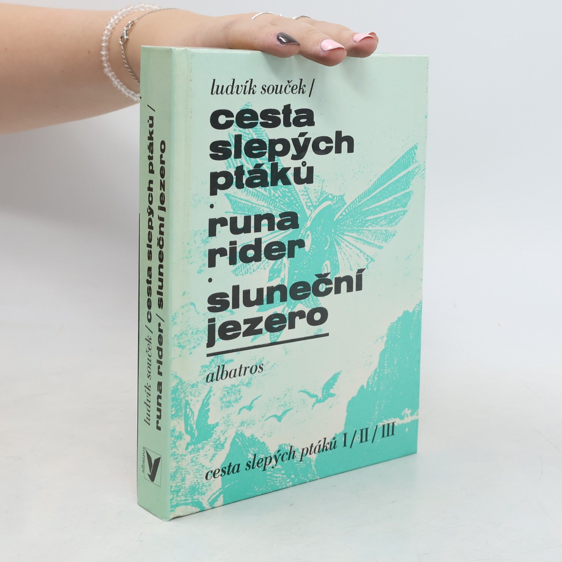 Ludvík Souček Cesta slepých ptáků. Runa rider. Sluneční jezero