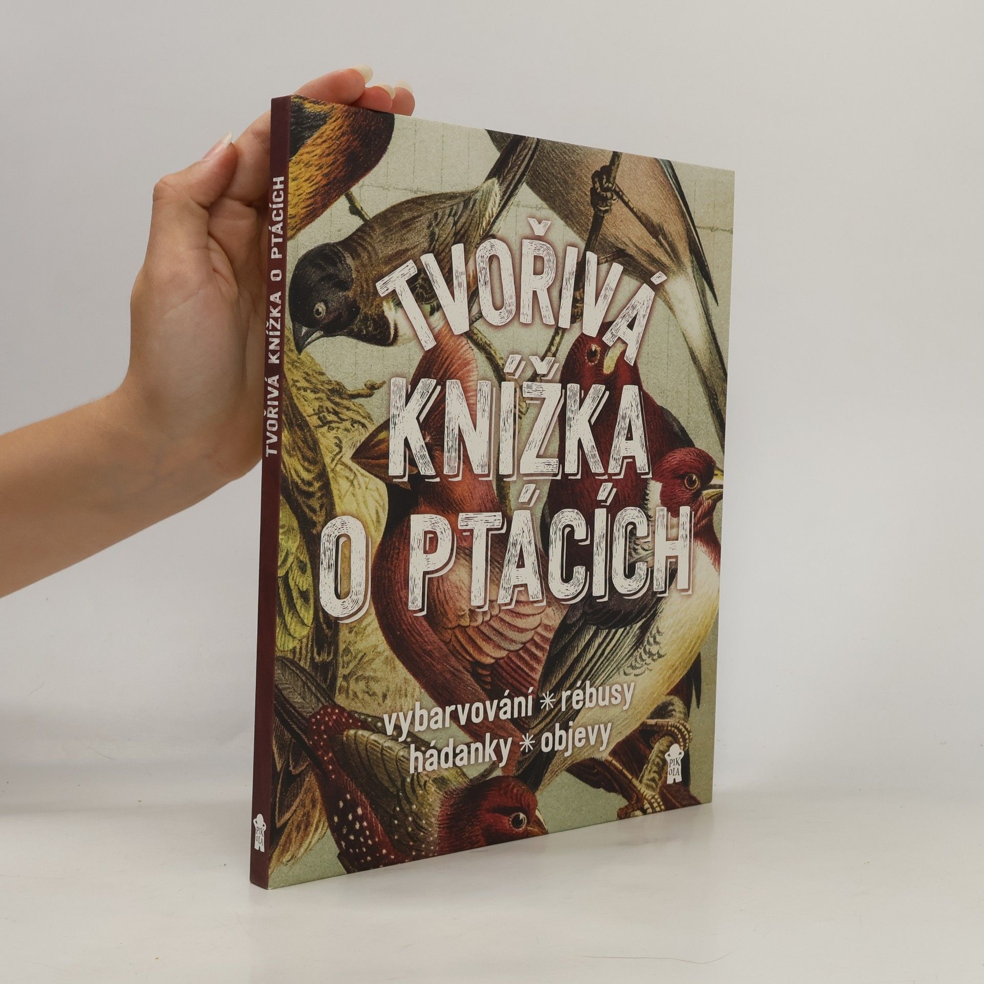 Geert Jan Roebers Tvořivá knížka o ptácích