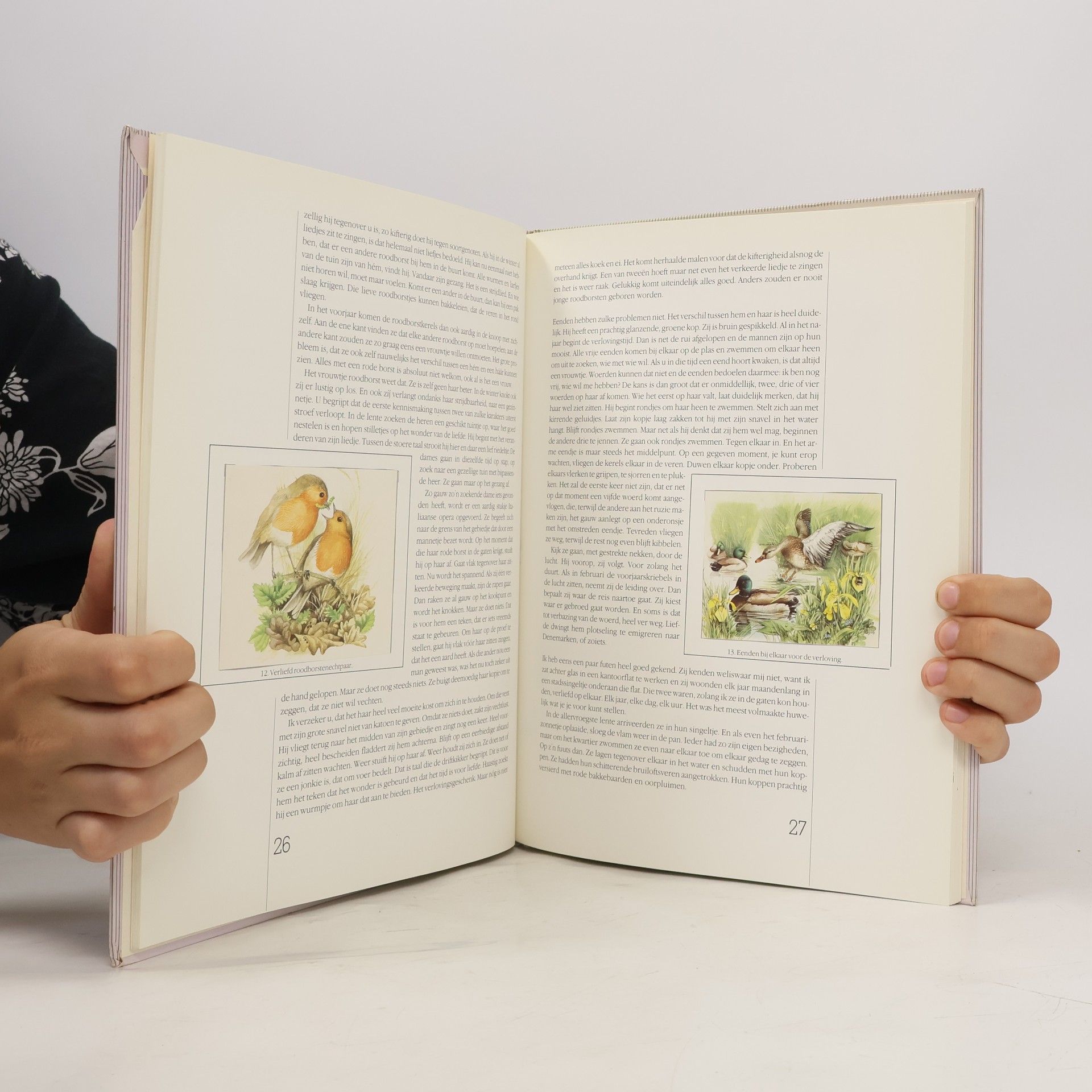 Marjolein Bastin Libelle: Vogelalbum