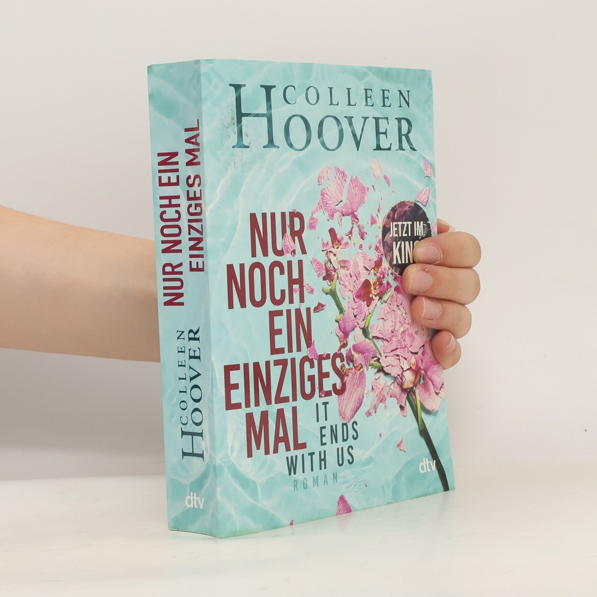 Colleen Hoover Nur noch ein einziges Mal