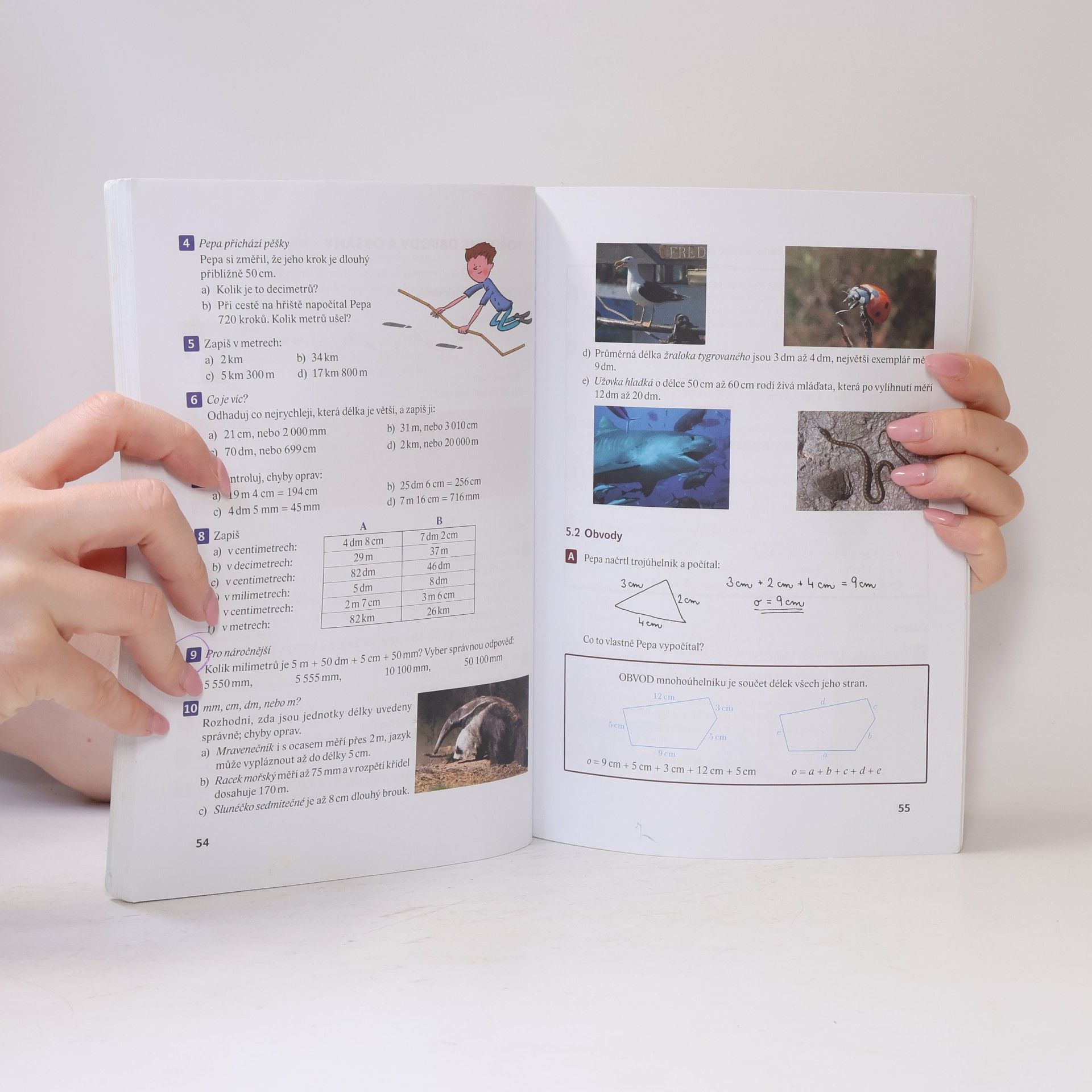 Oldřich Odvárko Matematika pro 6. ročník základní školy. [1], Opakování z aritmetiky a geometrie