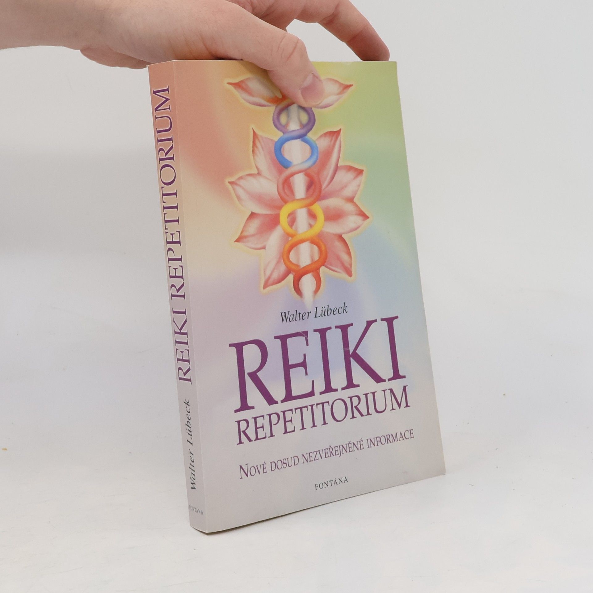 Walter Lübeck Repetitorium reiki