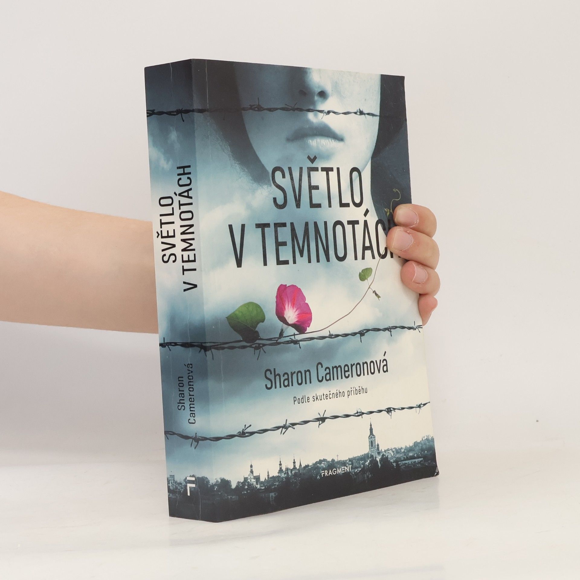 Sharon Cameron Světlo v temnotách