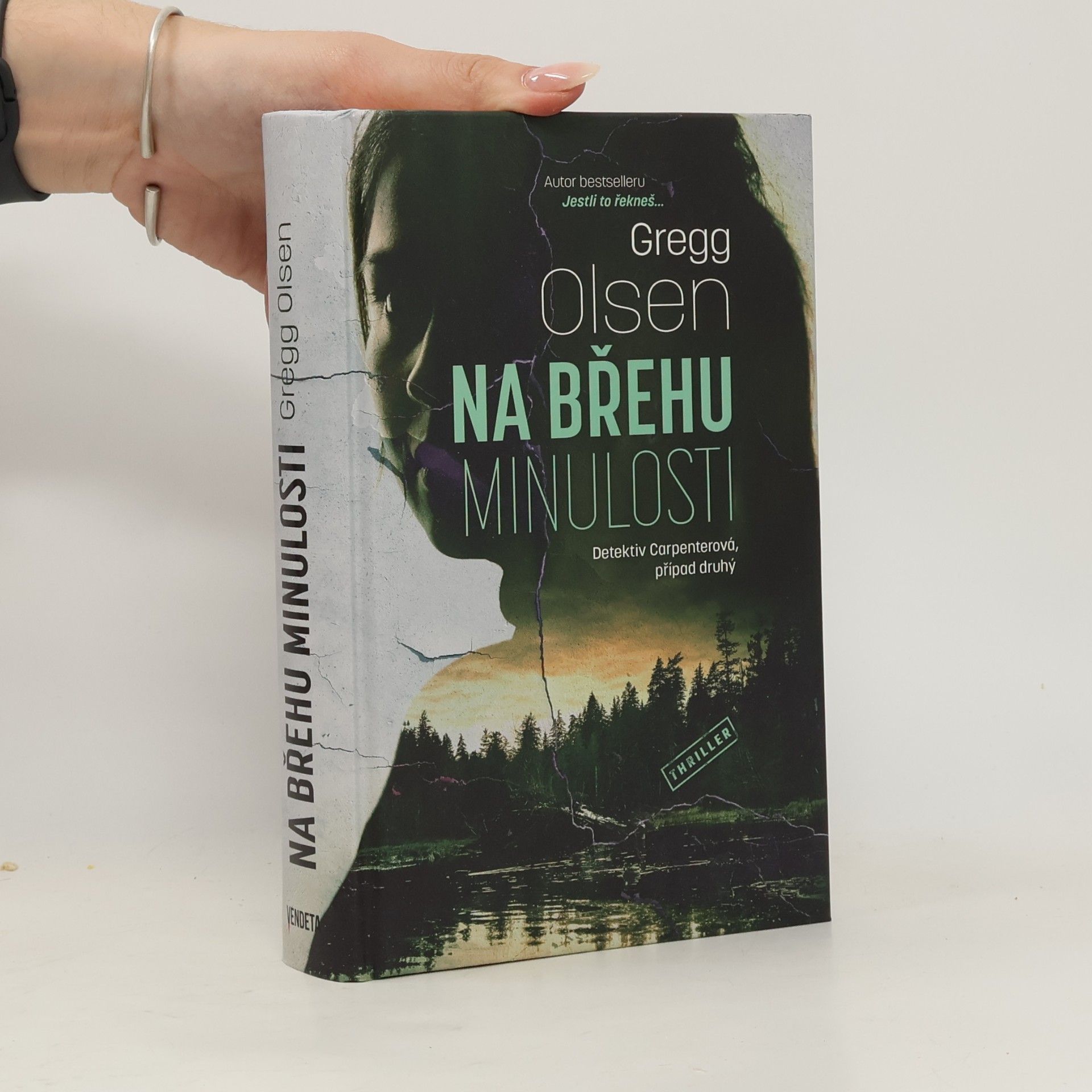 Gregg Olsen Na břehu minulosti