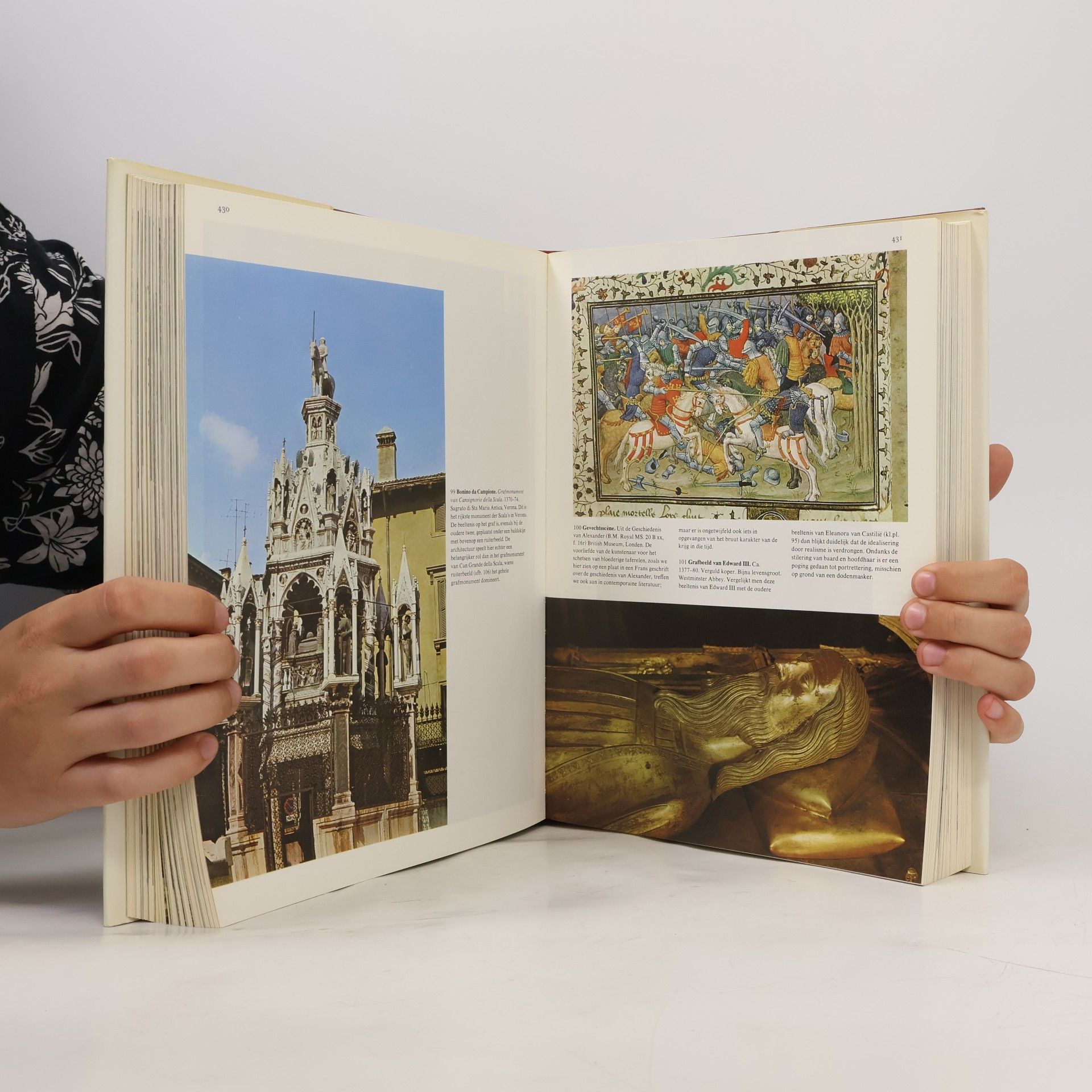 Autorenkollektiv De Geschiedenis van de kunst