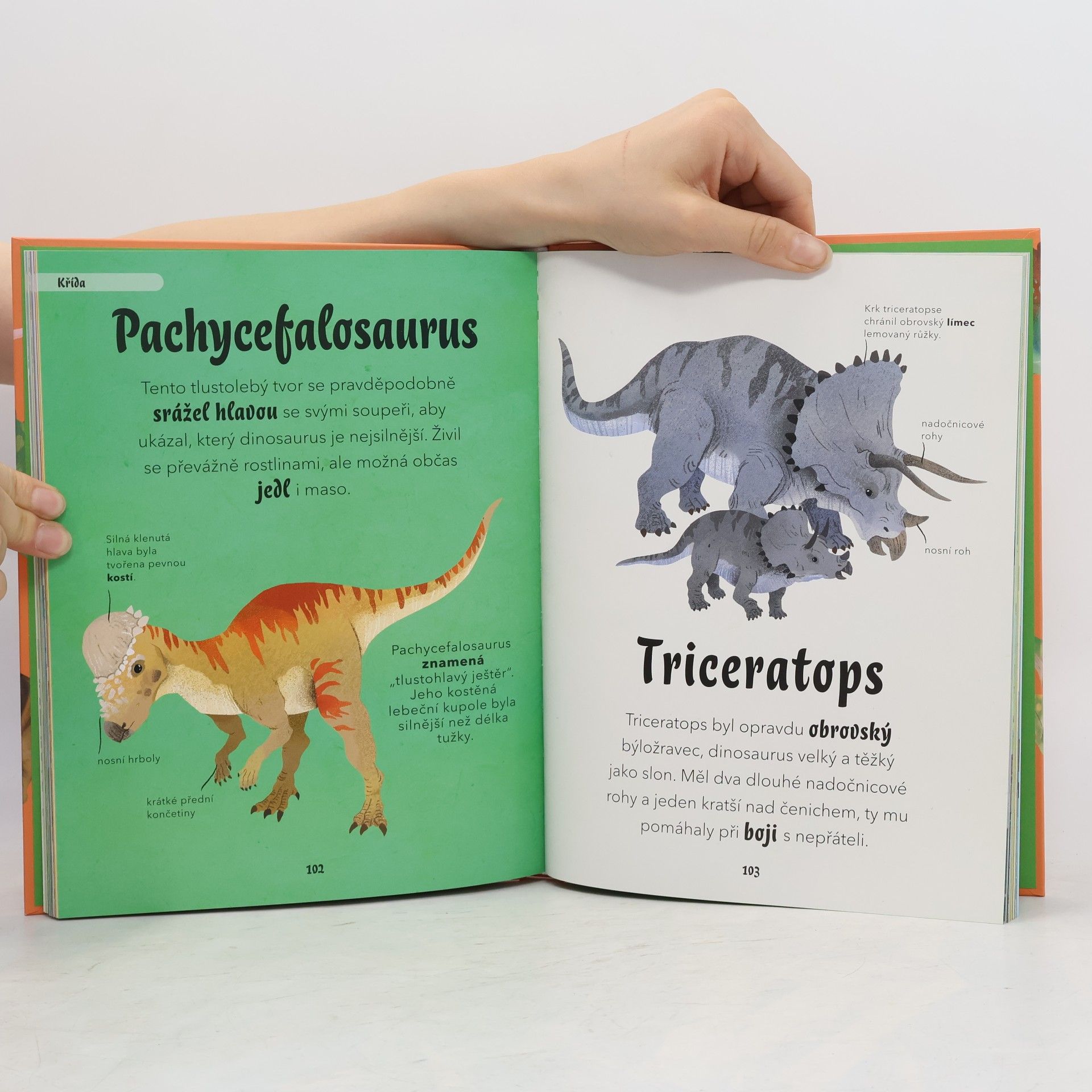 Petr Kotouš Usínáme s dinosaury a dalšími prehistorickými tvory