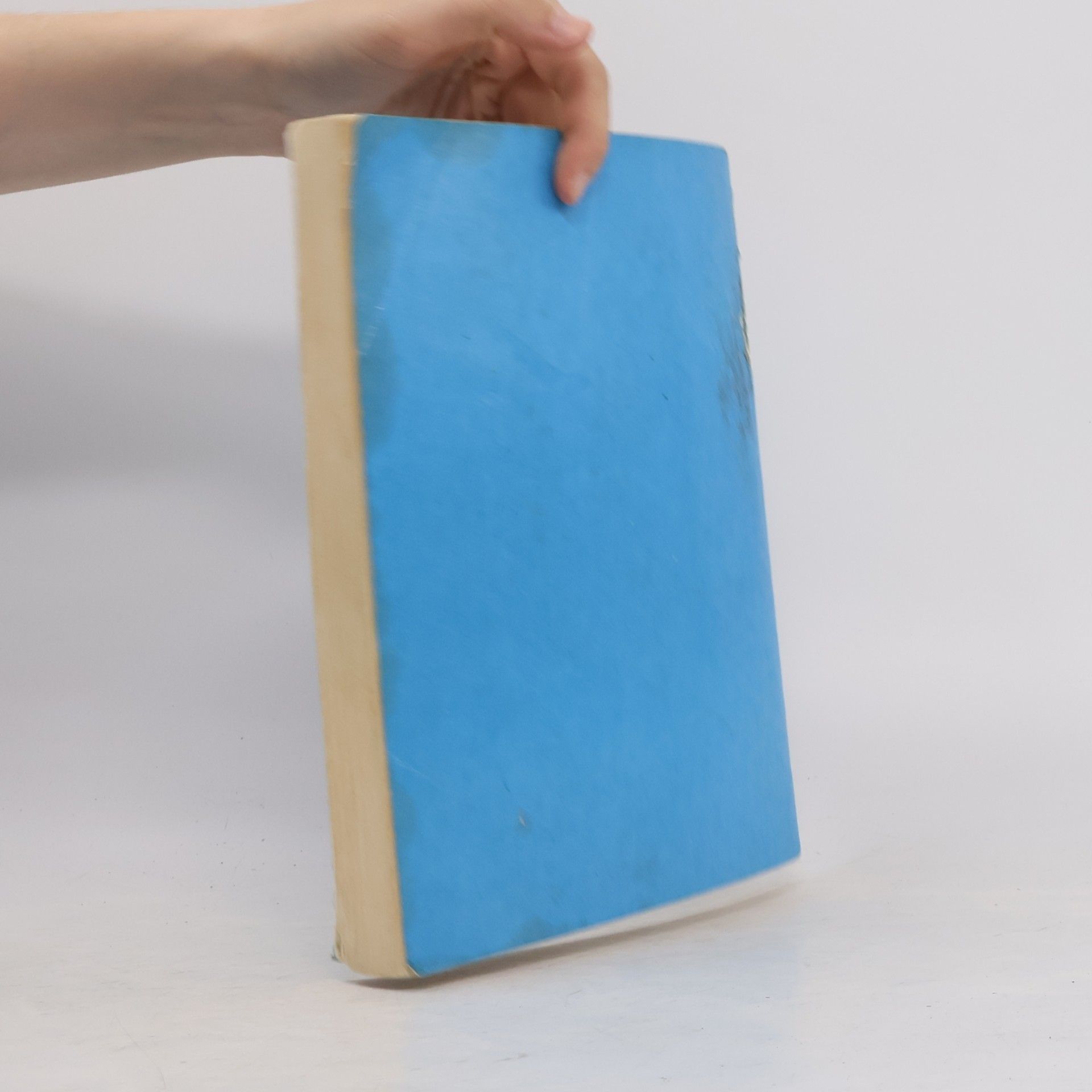Kolektiv autorů Visual Dictionary