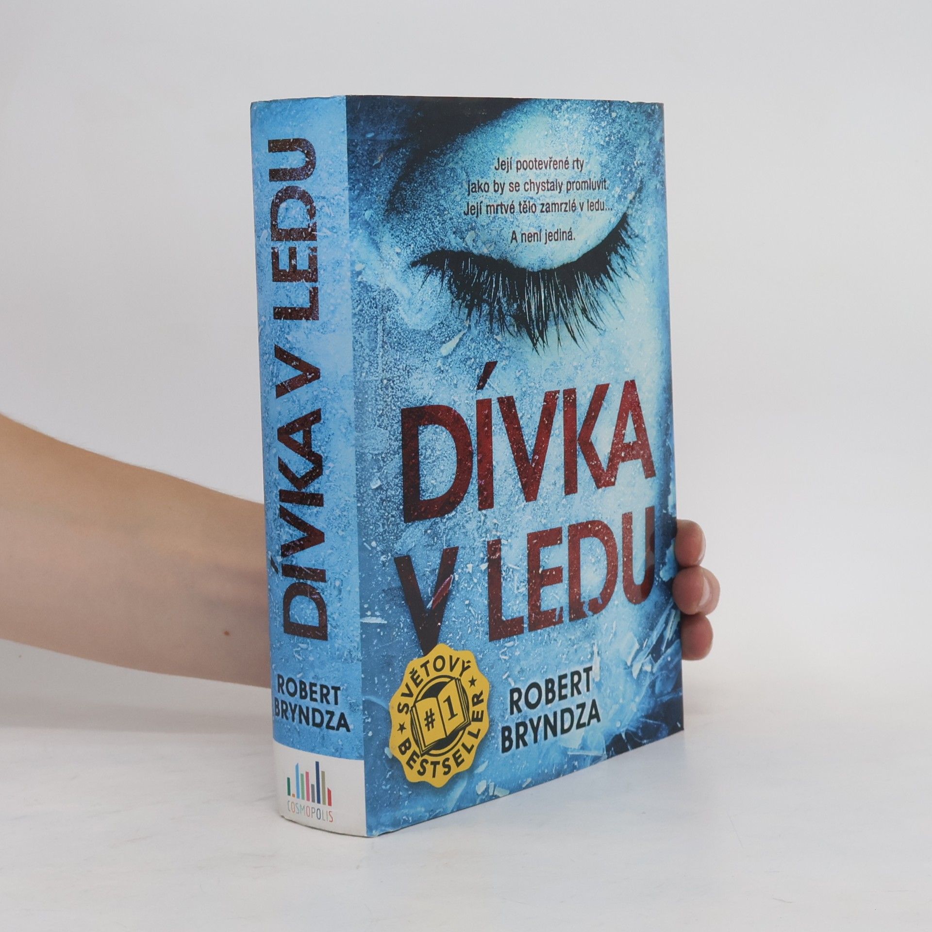 Robert Bryndza Dívka v ledu