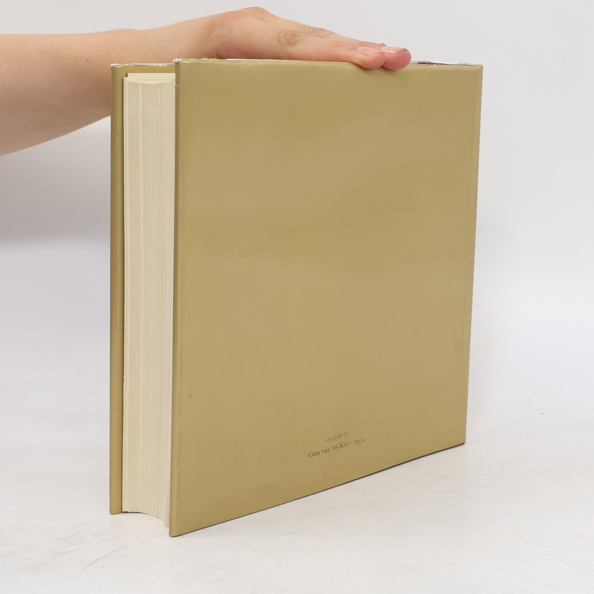 Giorgio Vasari Životy nejvýznačnějších malířů, sochařů a architektů II
