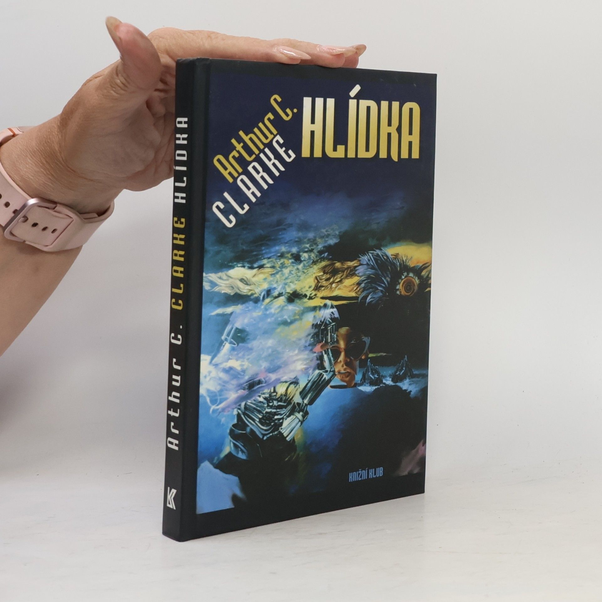 Hlídka