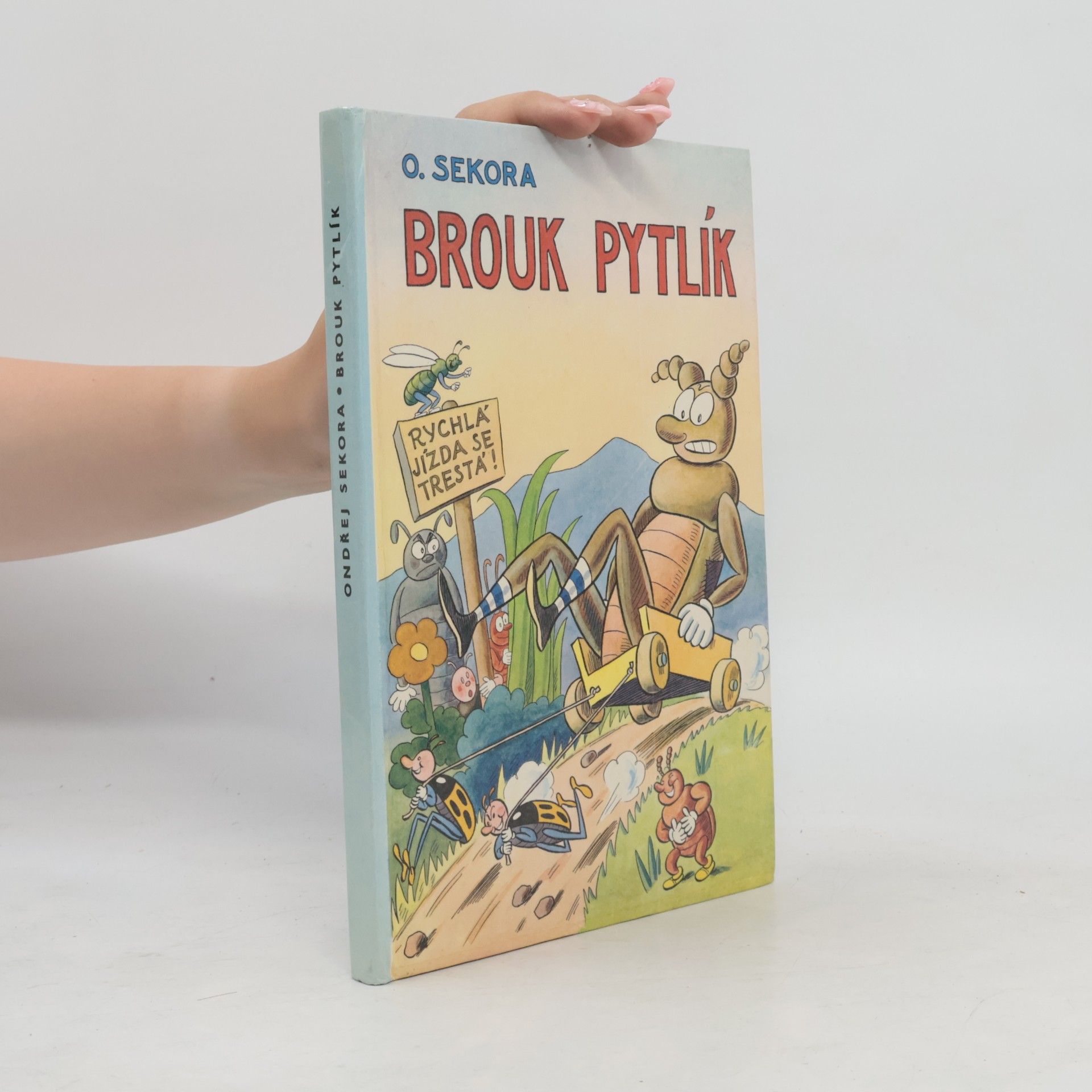 Brouk Pytlík