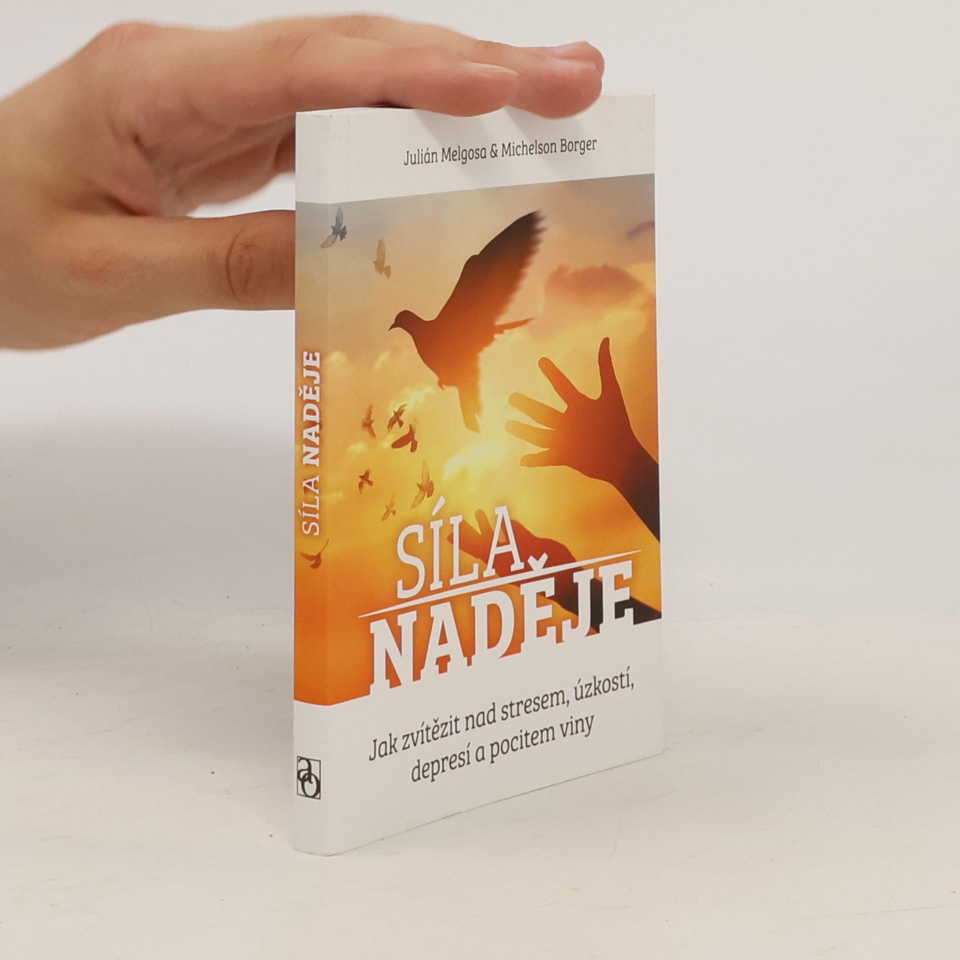 Michelson Borges Síla naděje
