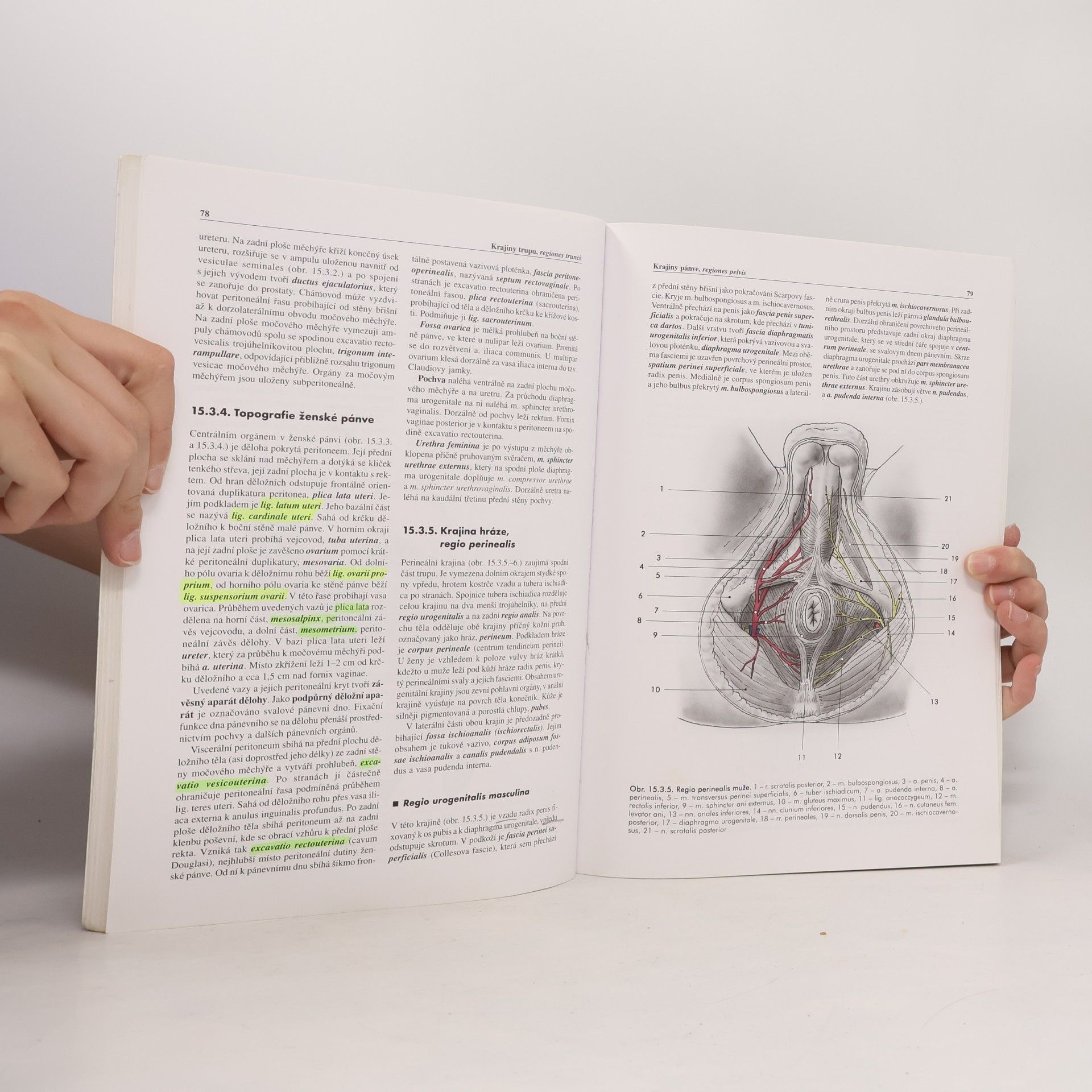 Miloš Grim Základy anatomie. 5., Anatomie krajin těla