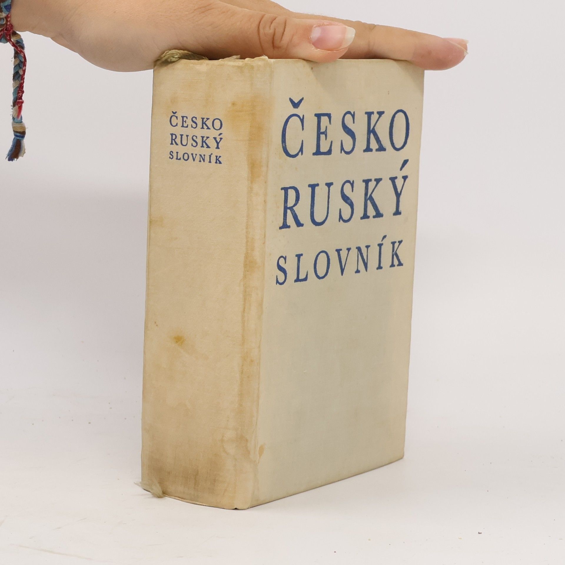 Autorenkollektiv Česko - ruský slovník