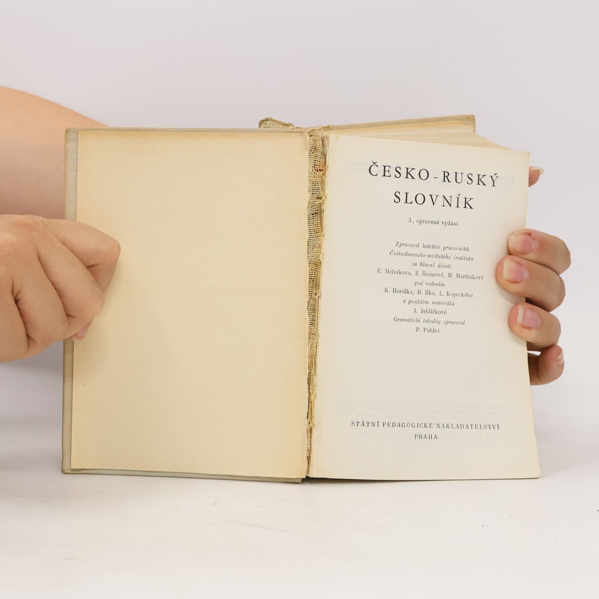Autorenkollektiv Česko - ruský slovník