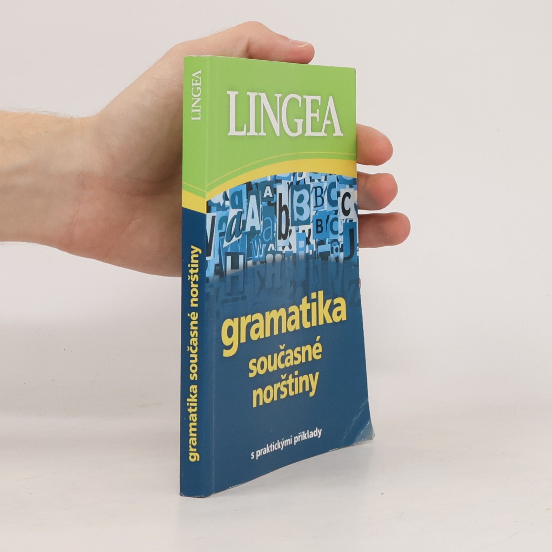Kolektív autorov Gramatika současné norštiny