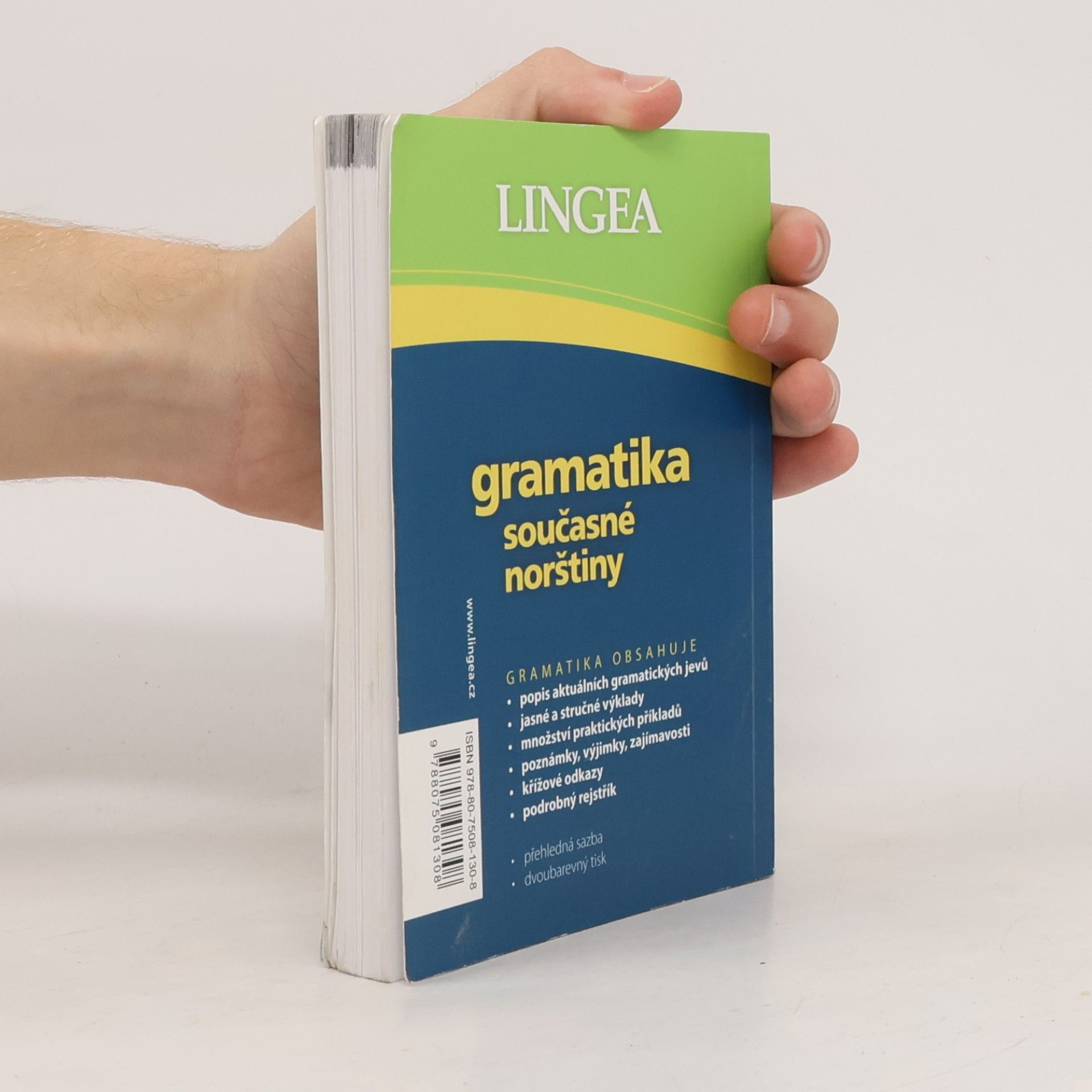 Kolektív autorov Gramatika současné norštiny
