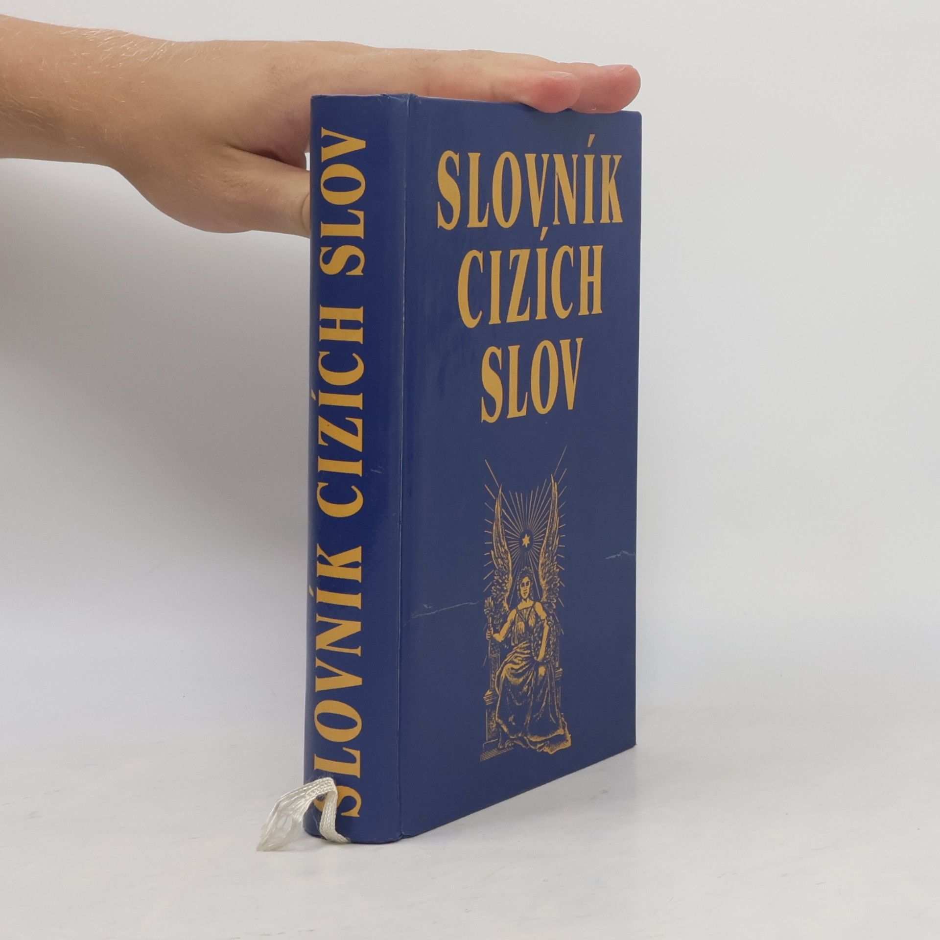 Kolektiv autorů Slovník cizích slov