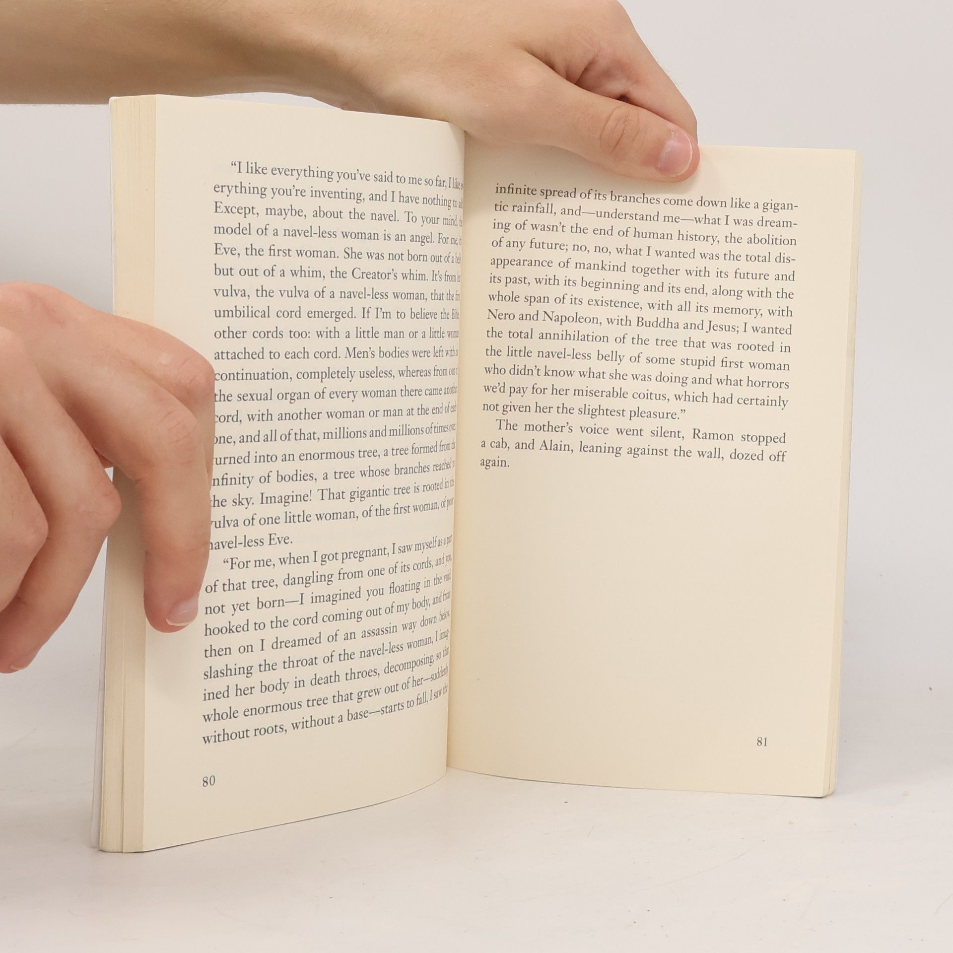 Milan Kundera The festival of insignificance