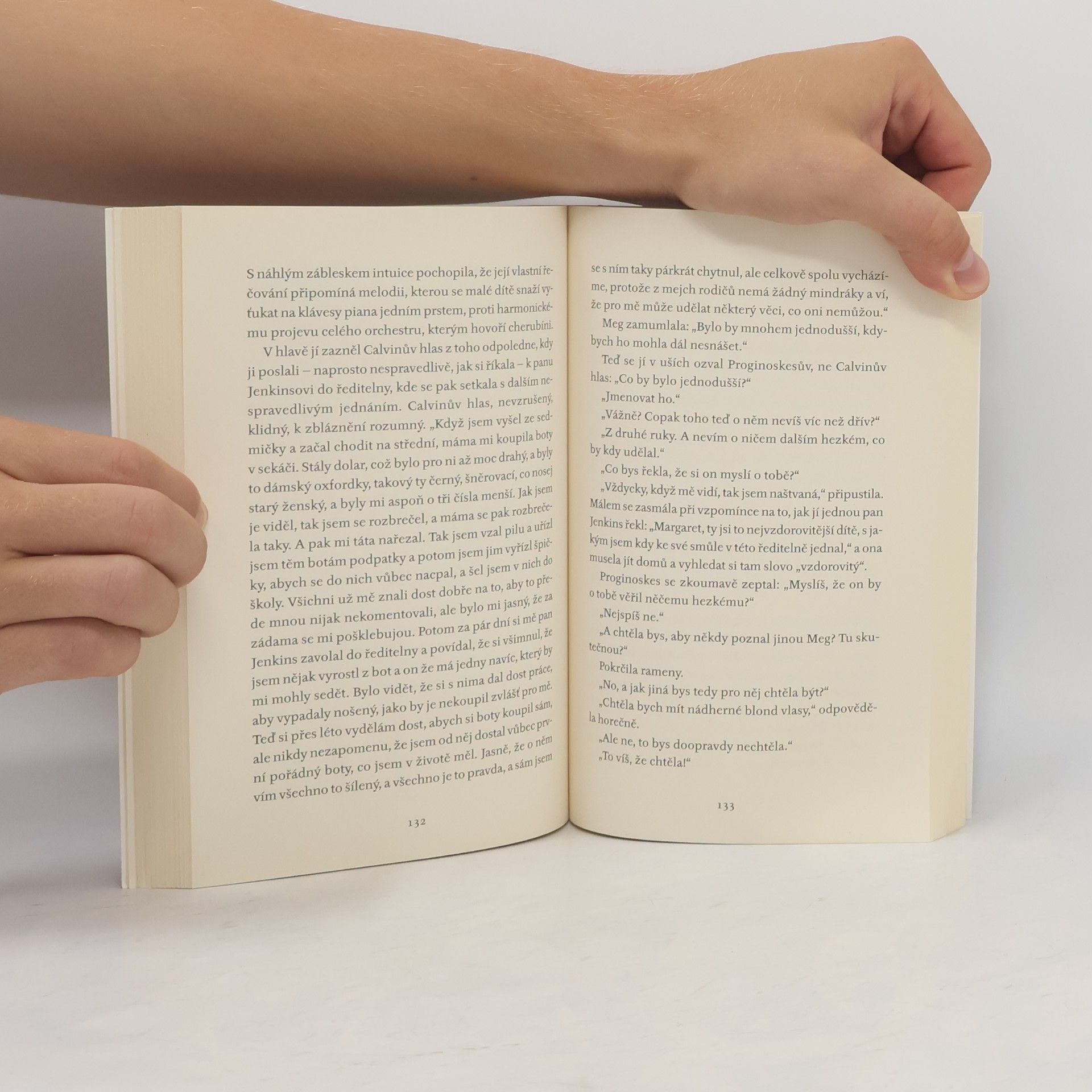 Madeleine L'Engle Vítr ve dveřích