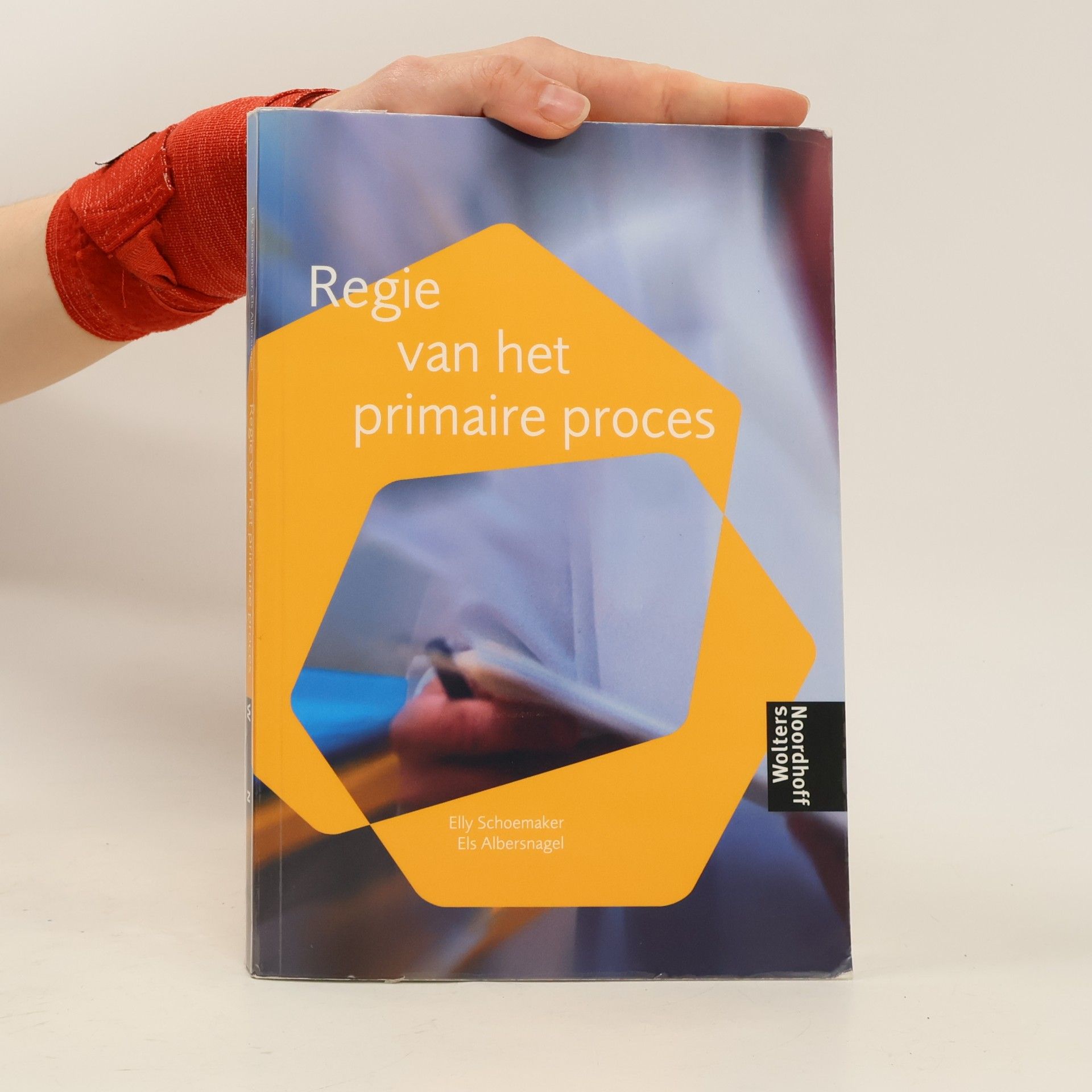 Regie van het primaire proces