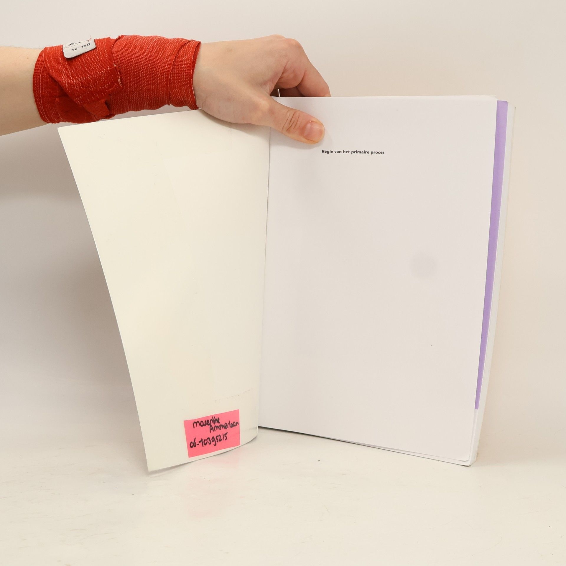 Elly Schoemaker Regie van het primaire proces
