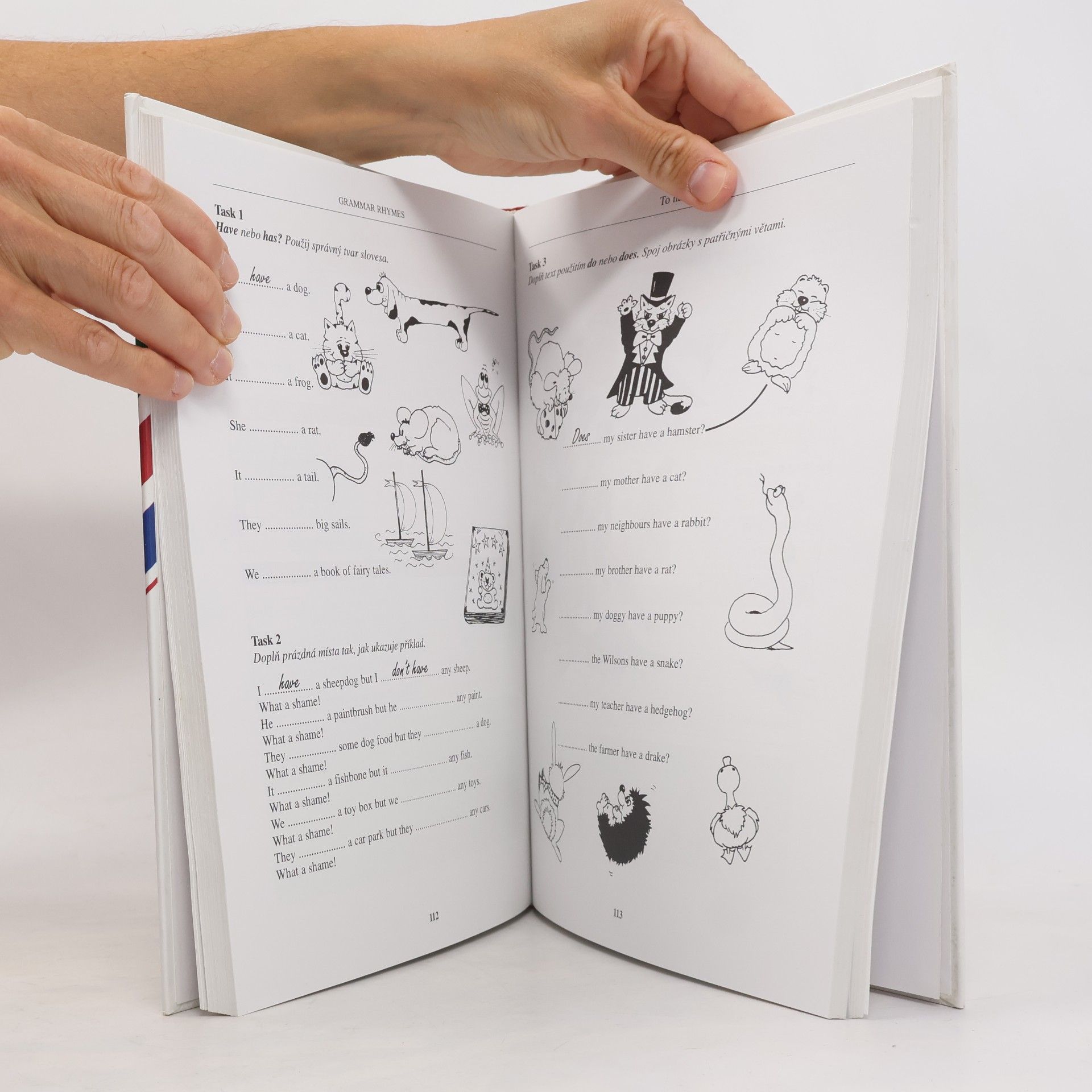 Joanna Zarańska Grammar rhymes. Veršovaná anglická gramatika. Pravidla, cvičení, testy