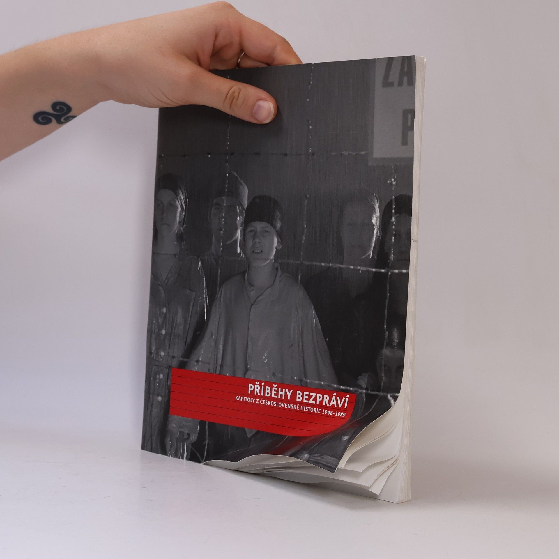 Autorenkollektiv Příběhy bezpráví : Kapitoly z československé historie 1948-1989